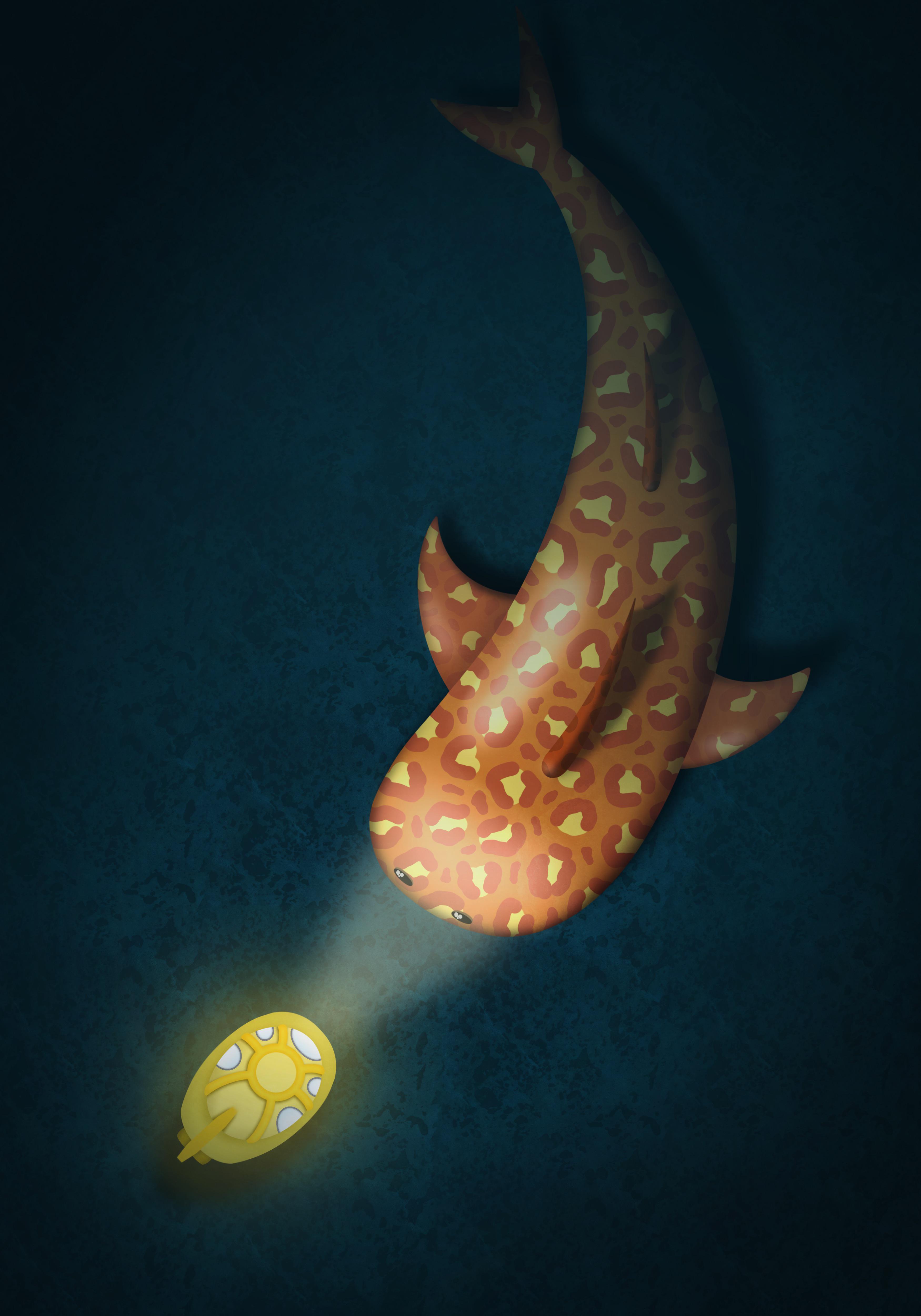 The Jaguar Shark (Improved) r/wesanderson