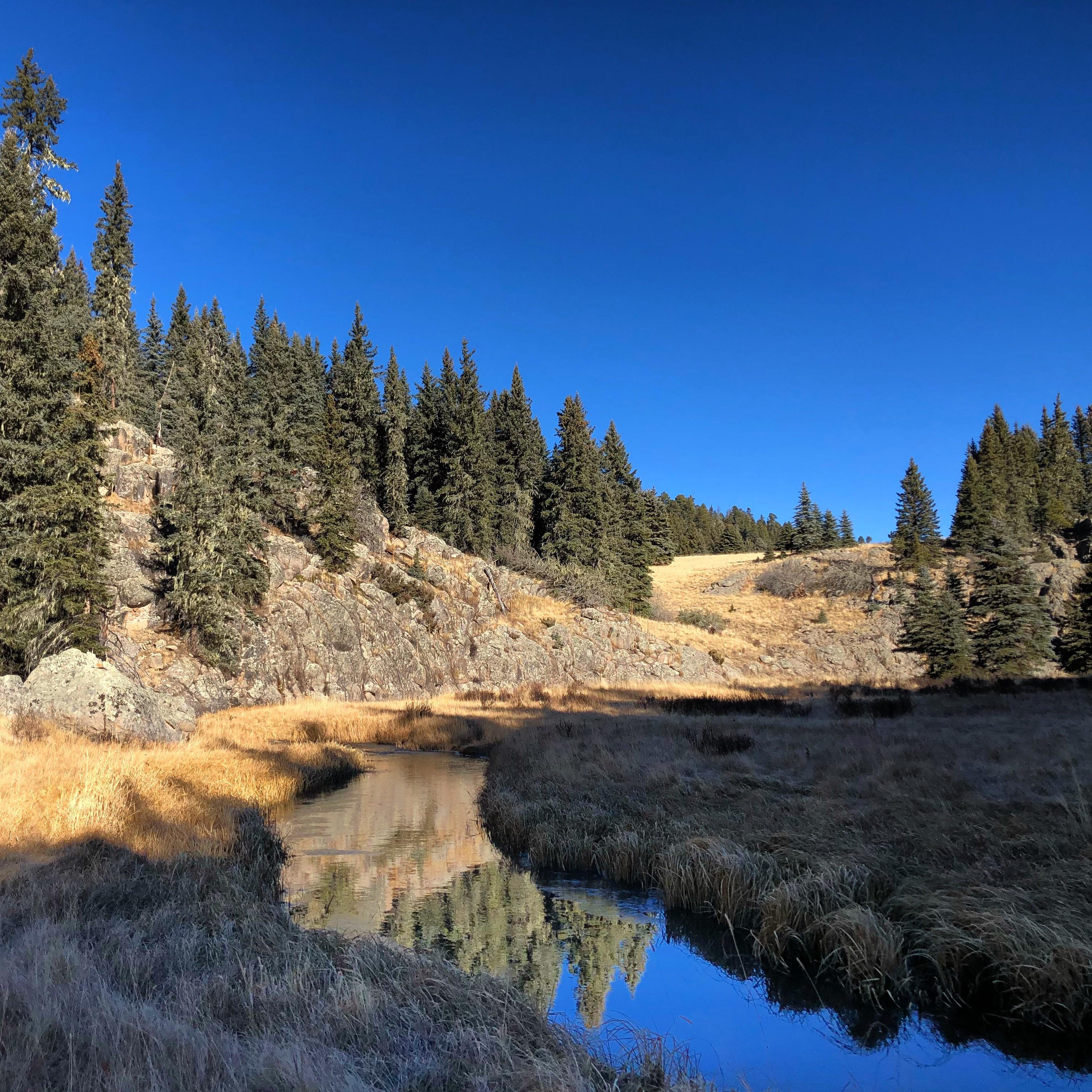 Another Snapshot from the Valles Caldera r/NewMexico