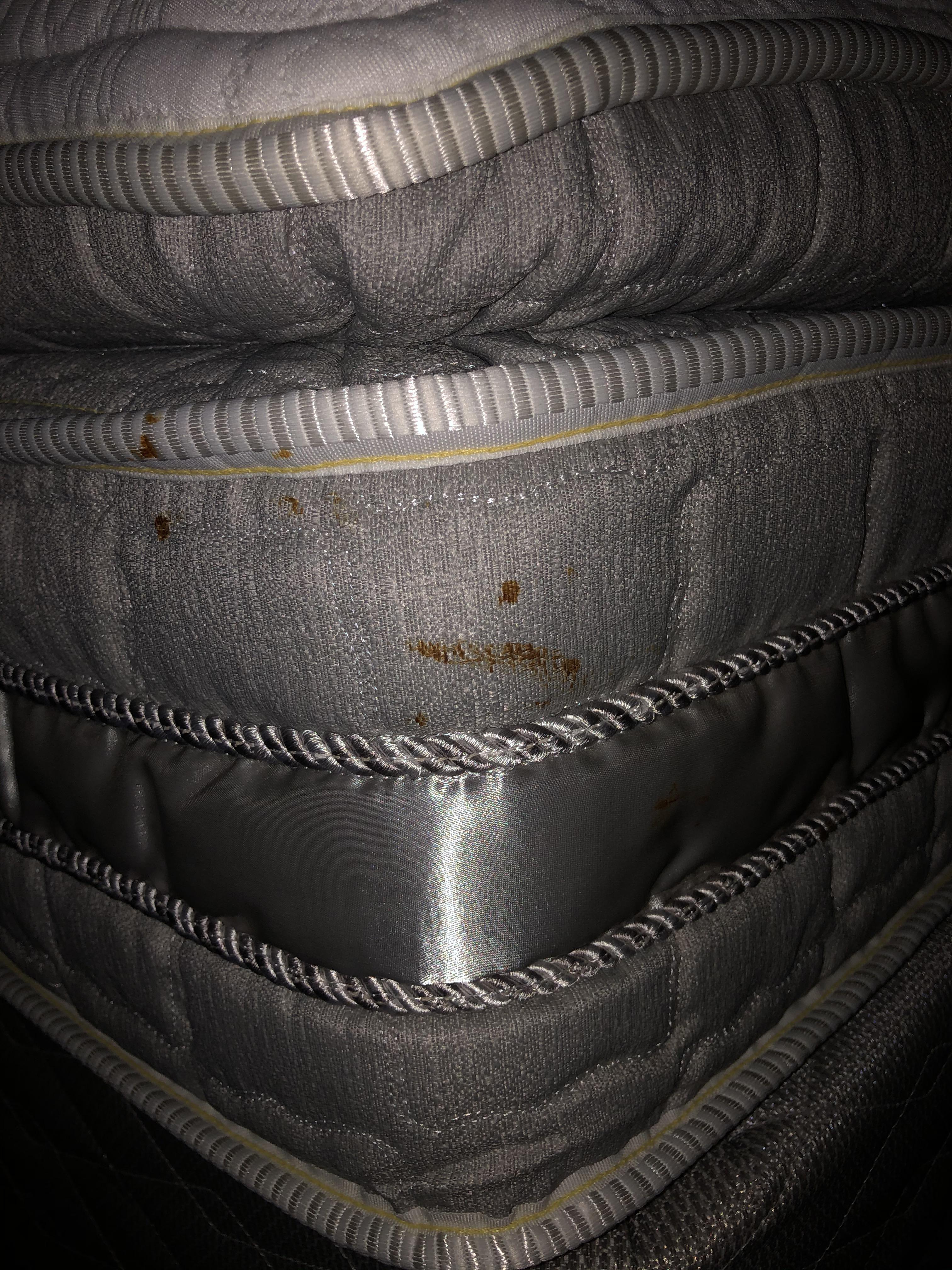 Silk Travel Sheet Bed Bugs Bed bugs? Bedbugs
