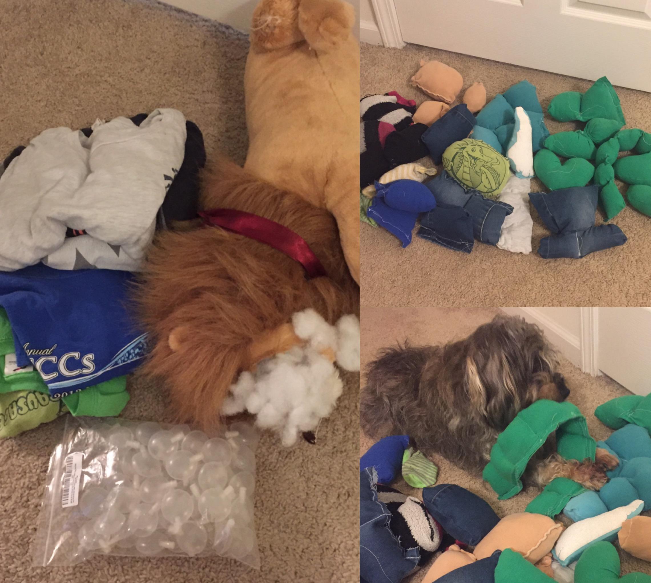 7 of bulk squeakers + old clothes + previously destroyed plush = lots