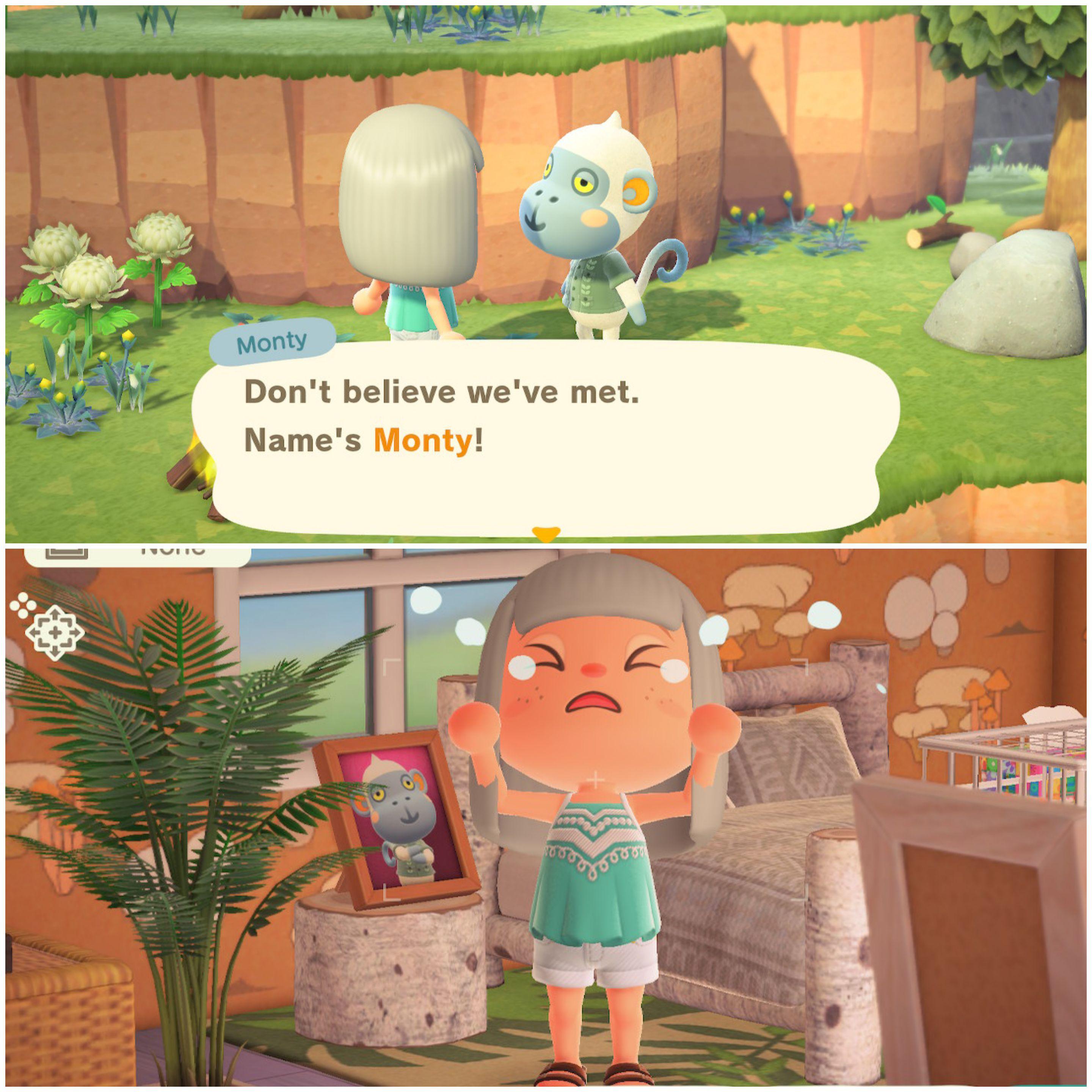 1081 best Nmt images on Pholder Animal Crossing, Animal Crossing New