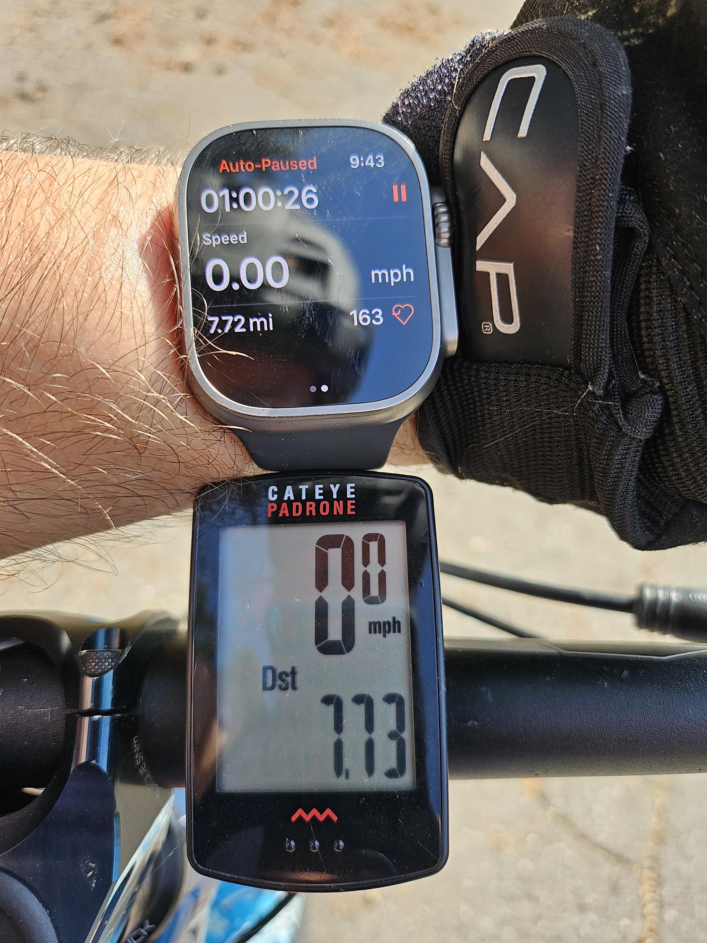 erba Ricreazione Su larga scala apple watch cycling cadence Revisione