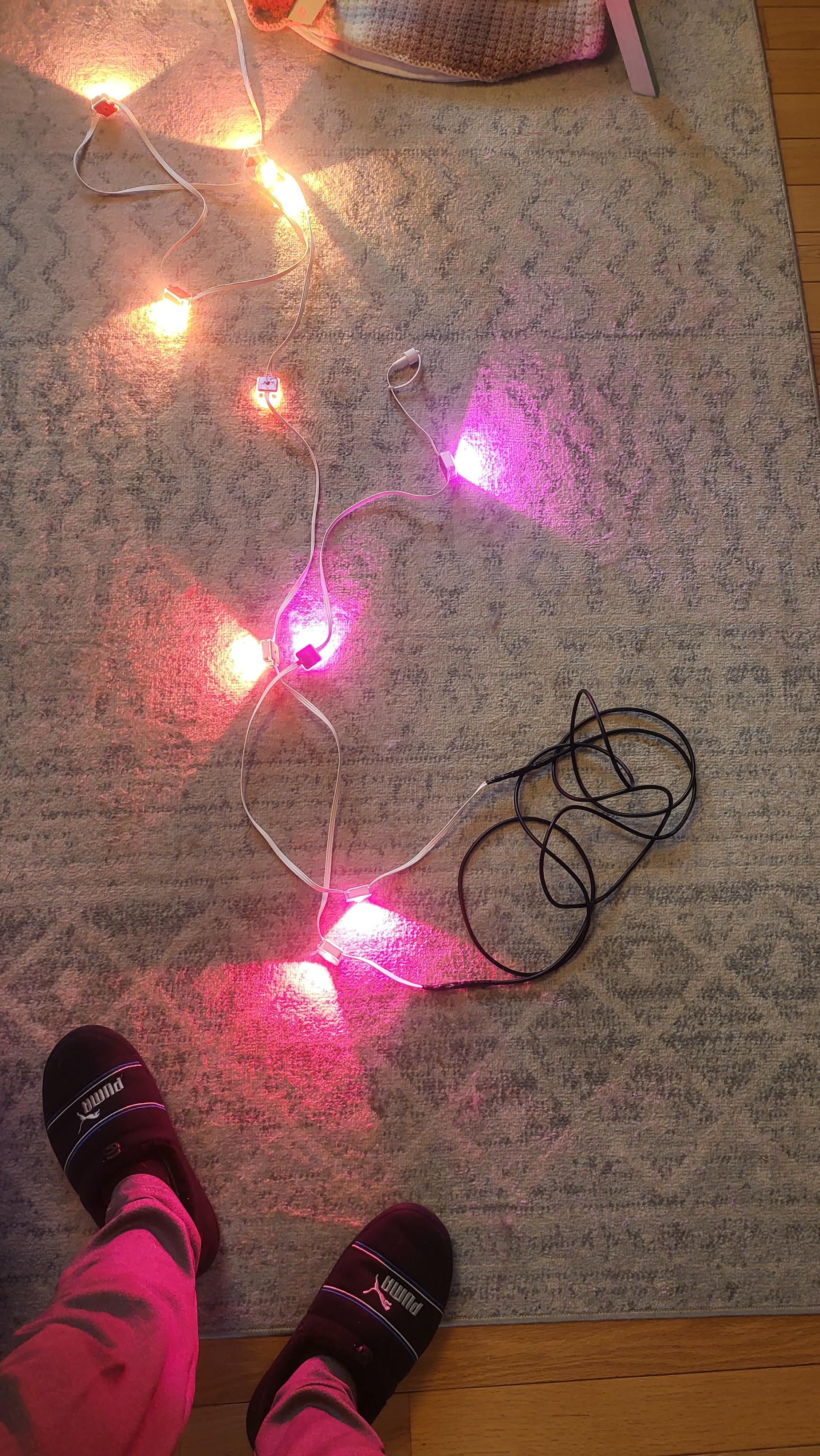 govee permanent outdoor lights extention. r/Govee