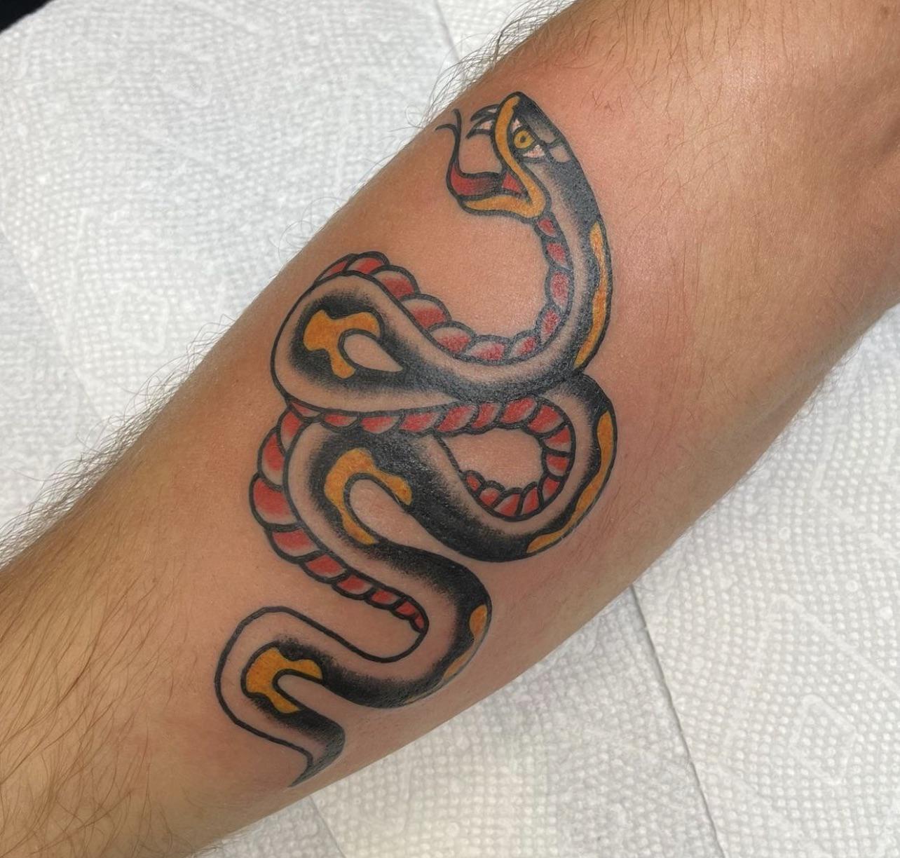 Traditional Snake, by Ciarah at Steel n Ink, Hamilton Ontario r/tattoos
