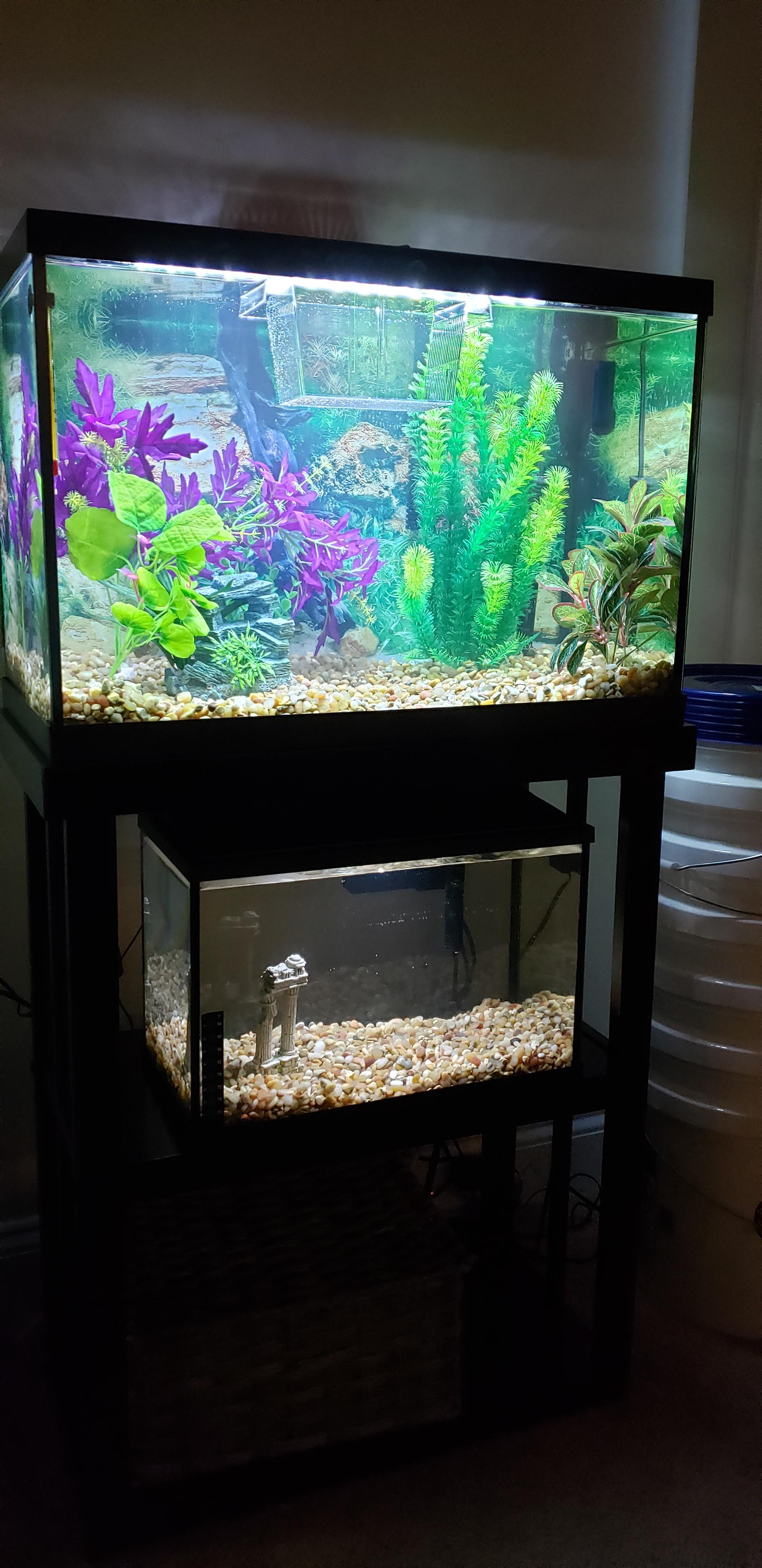 Anyone else love the black silicone edge on topfin aquariums? r/Aquariums