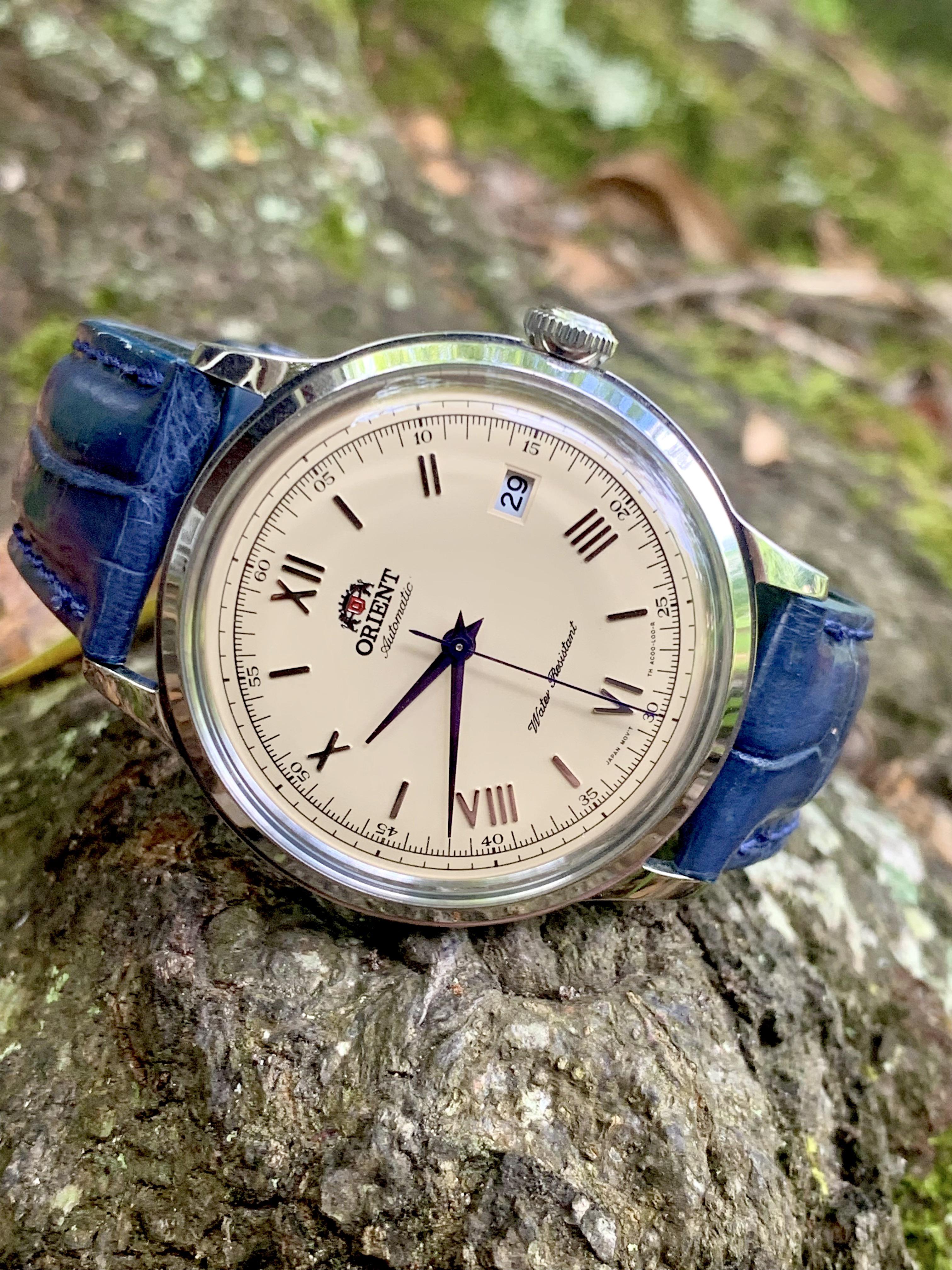 Orient Bambino v2 paired with blue leather r/JapaneseWatches