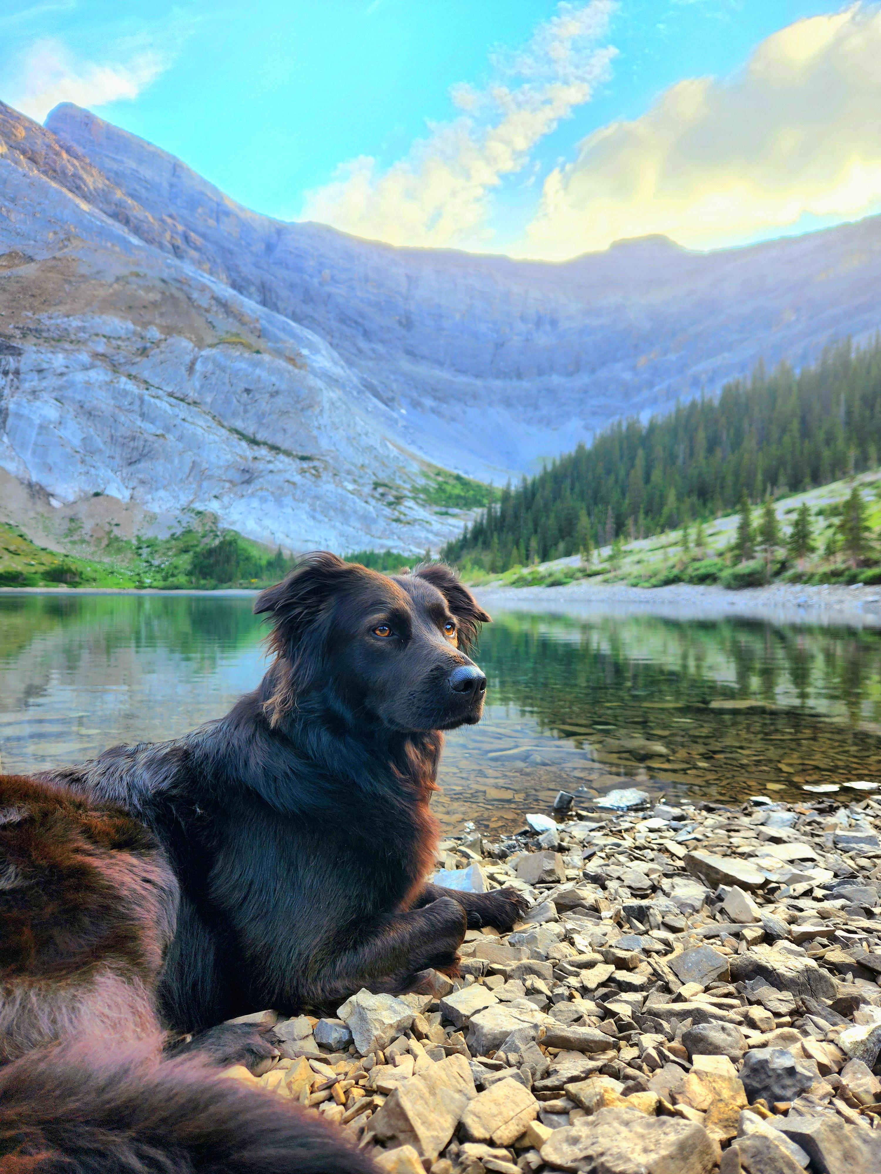 Jess at Mount Bryant Lake, Kananaskis Alberta r/canada