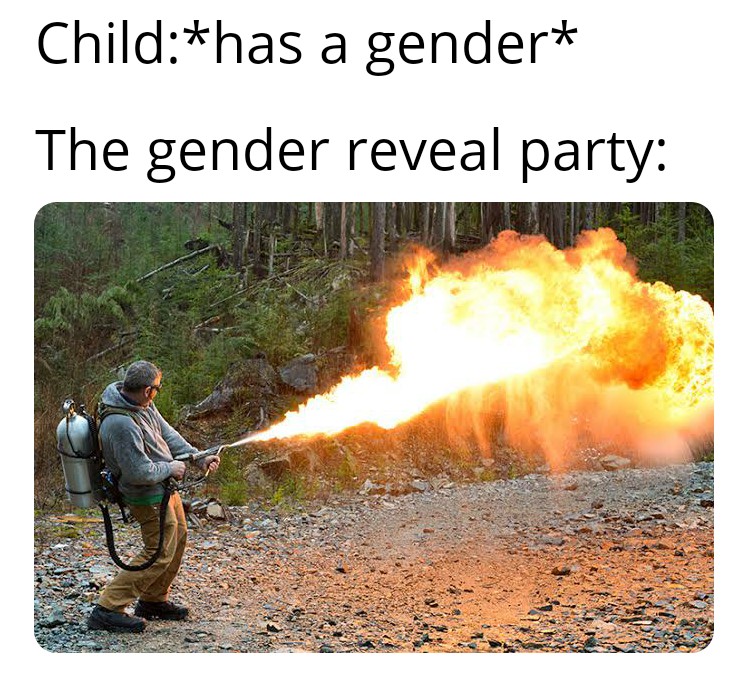 Gender Reveal Memes That Are Dangerously Explosive Gender Reveal