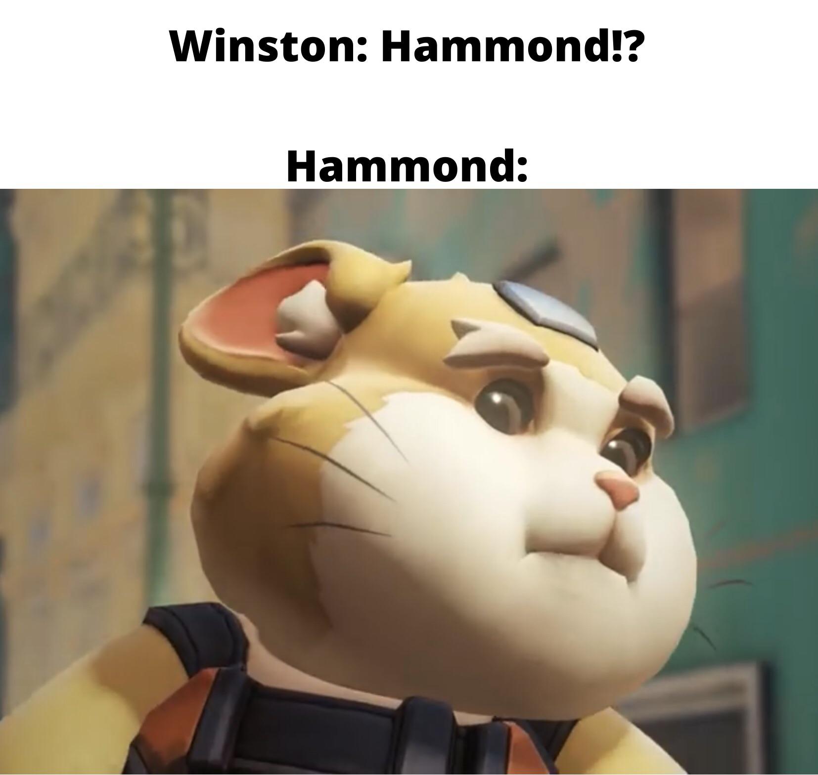 It’s funny when Hammond just doesn’t respond to Winston in this