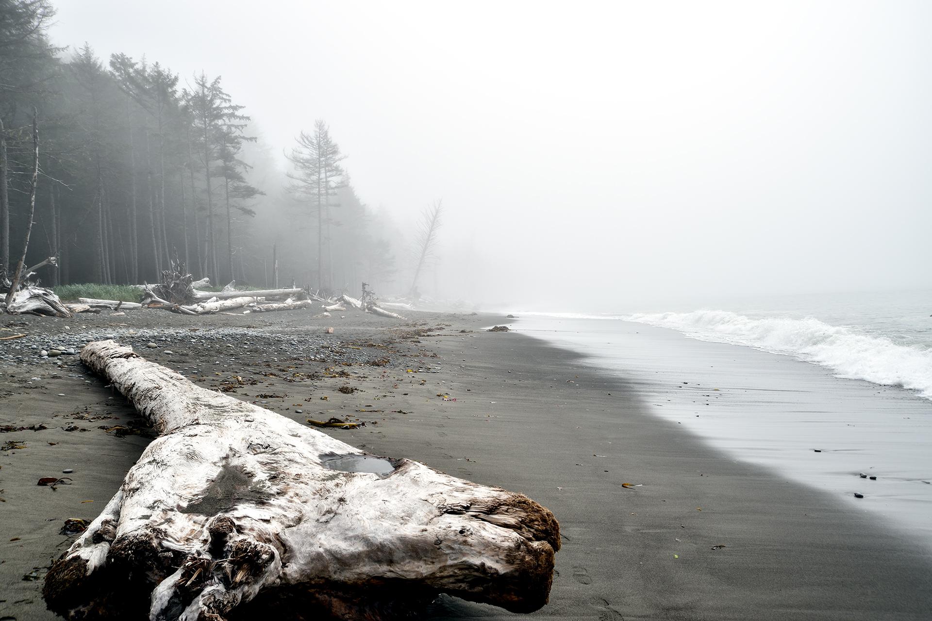 151 best Washington Coast images on Pholder Earth Porn, Pics and