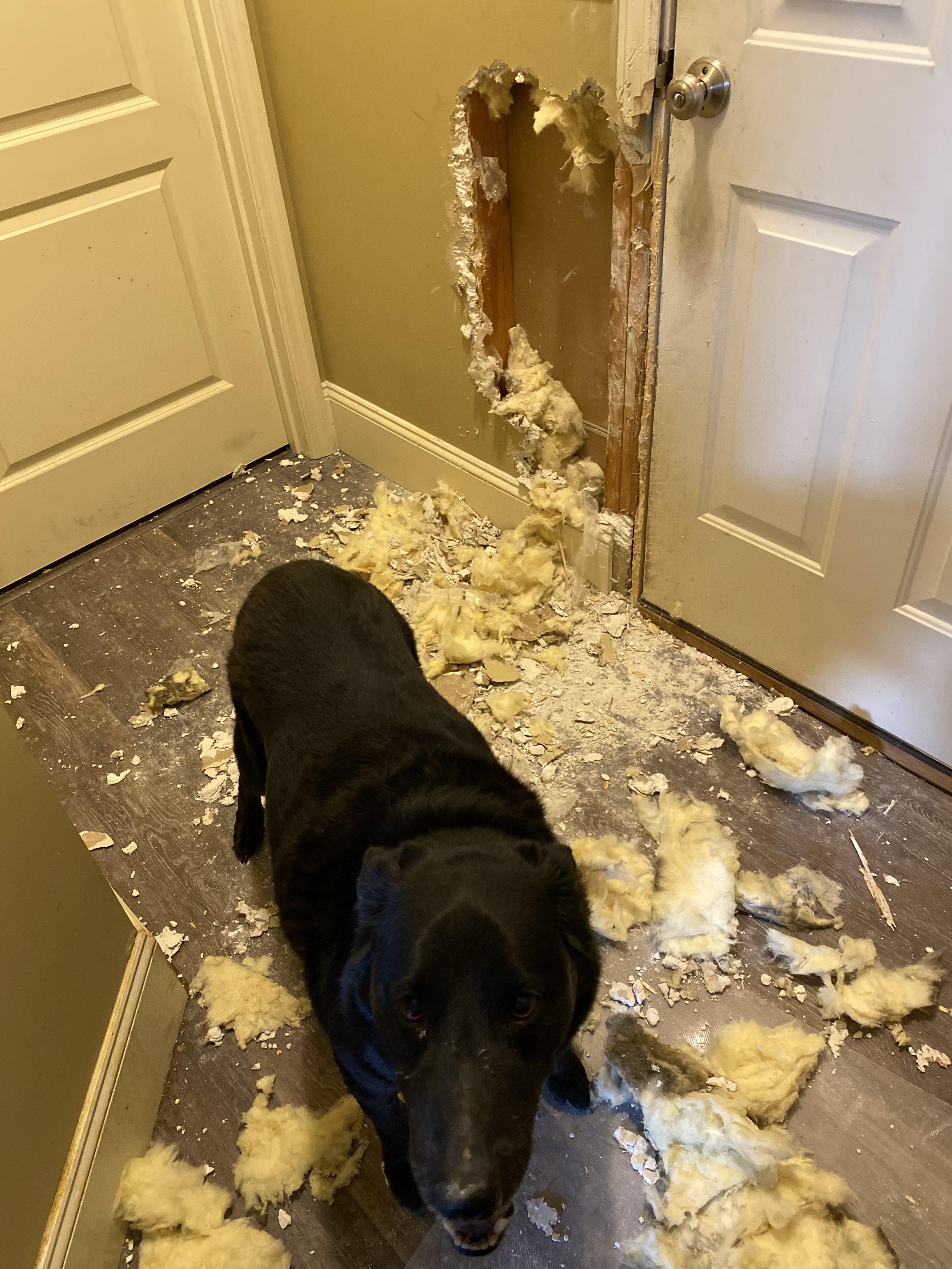 She Has Separation Anxiety r/Wellthatsucks