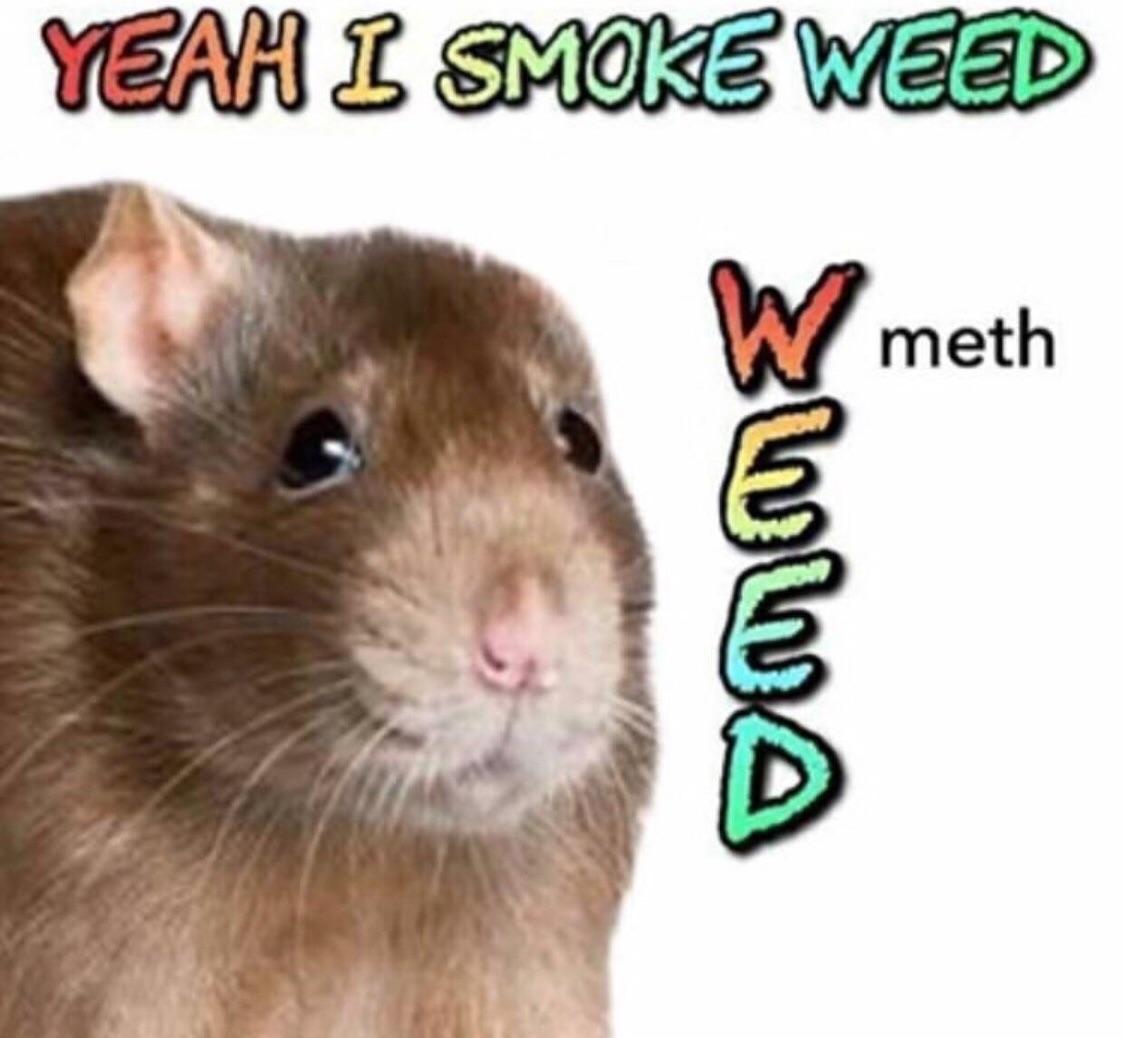 Thank you Ratthew, very cool! PewdiepieSubmissions