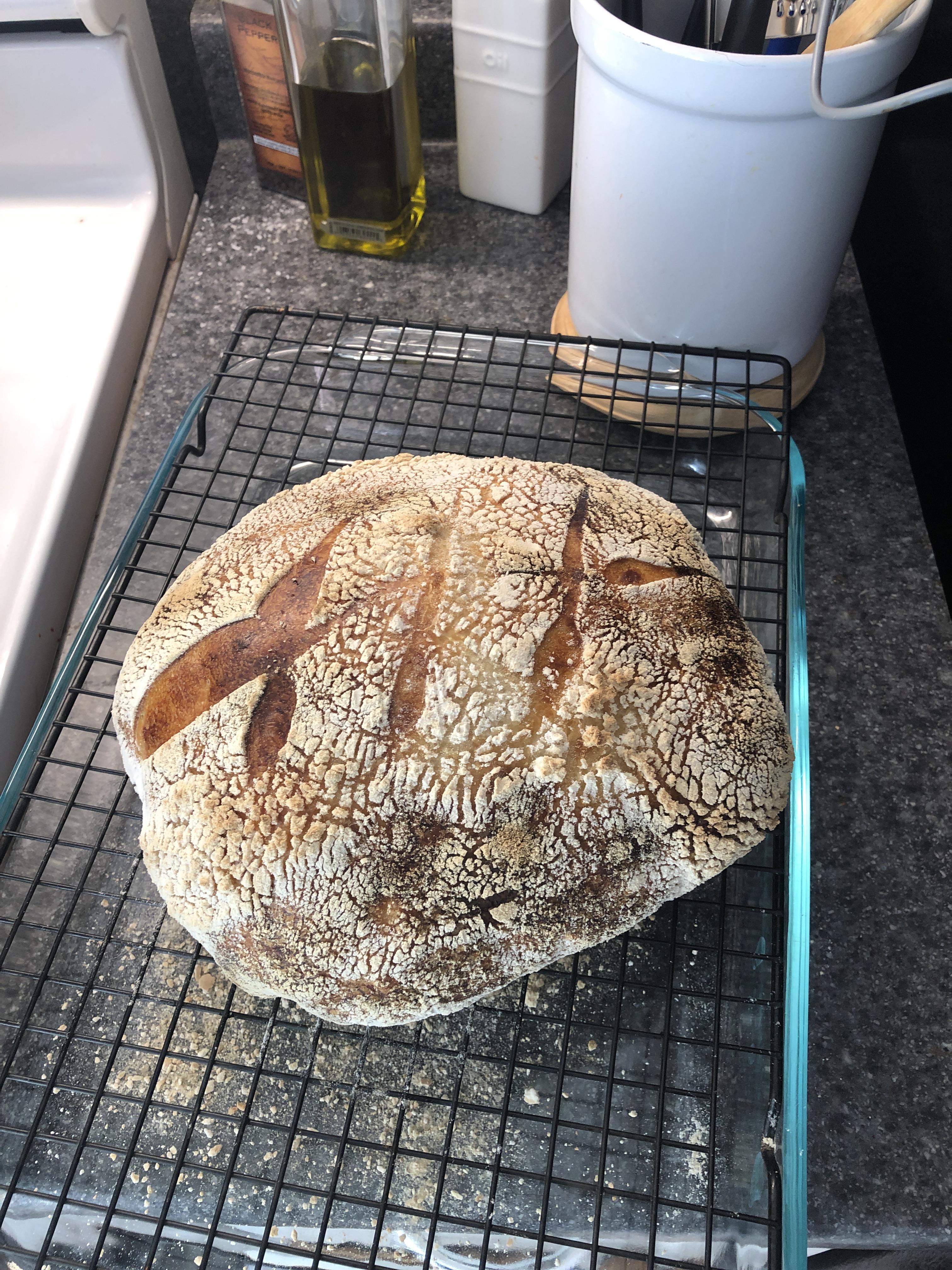 First loaf. It didn’t rise very much in the proofing stage and seemed