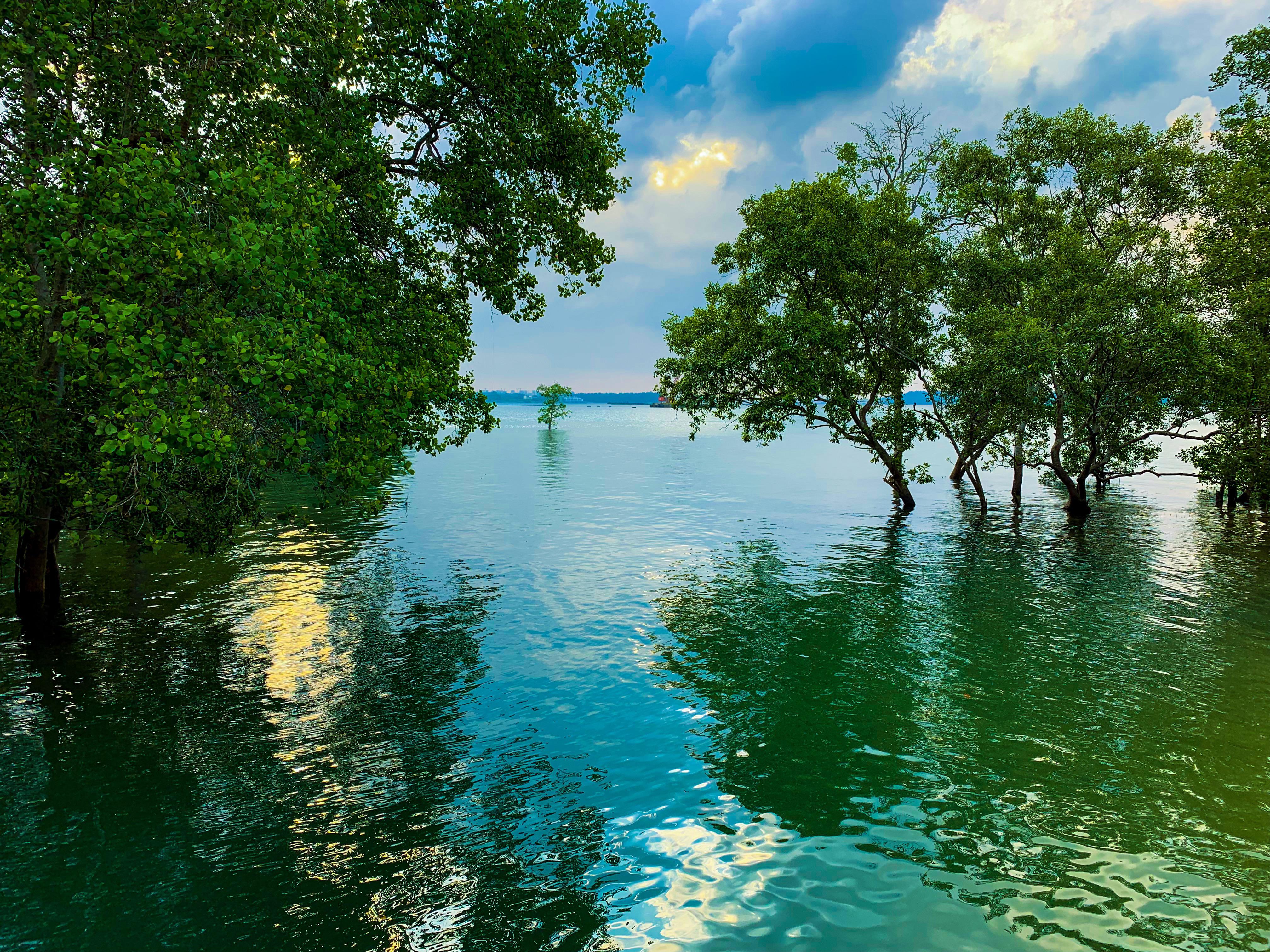 Looks like it belongs in a painting! I took this picture at Pasir Ris Beach two days ago! r