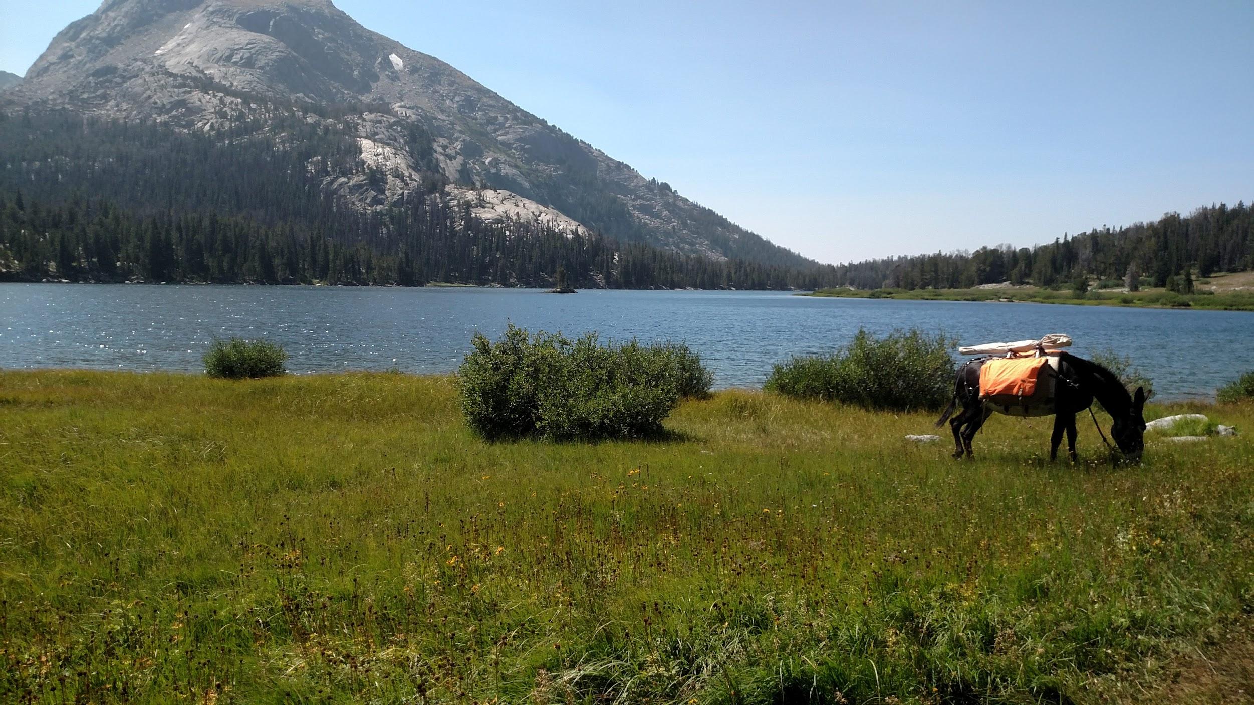 Lake Victor r/wyoming