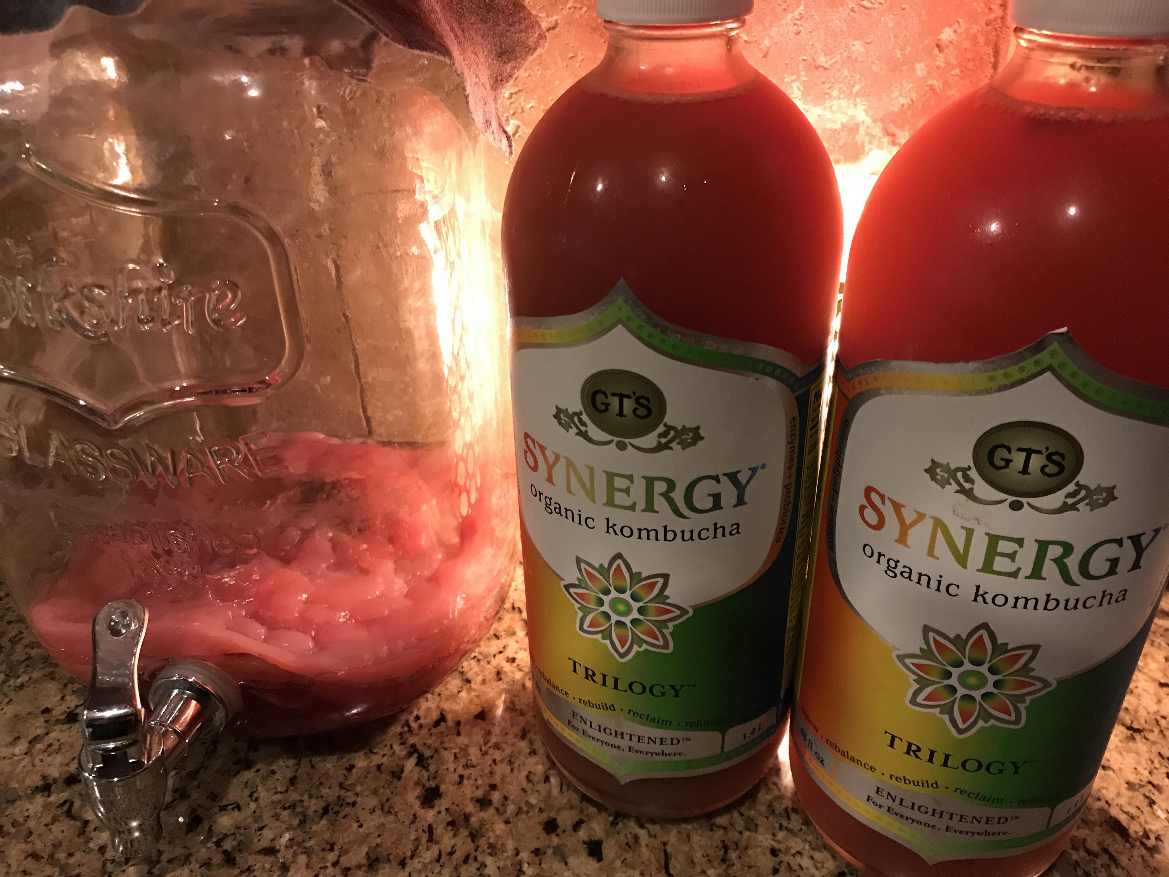 Organic Acai Green tea was a hit! r/Kombucha