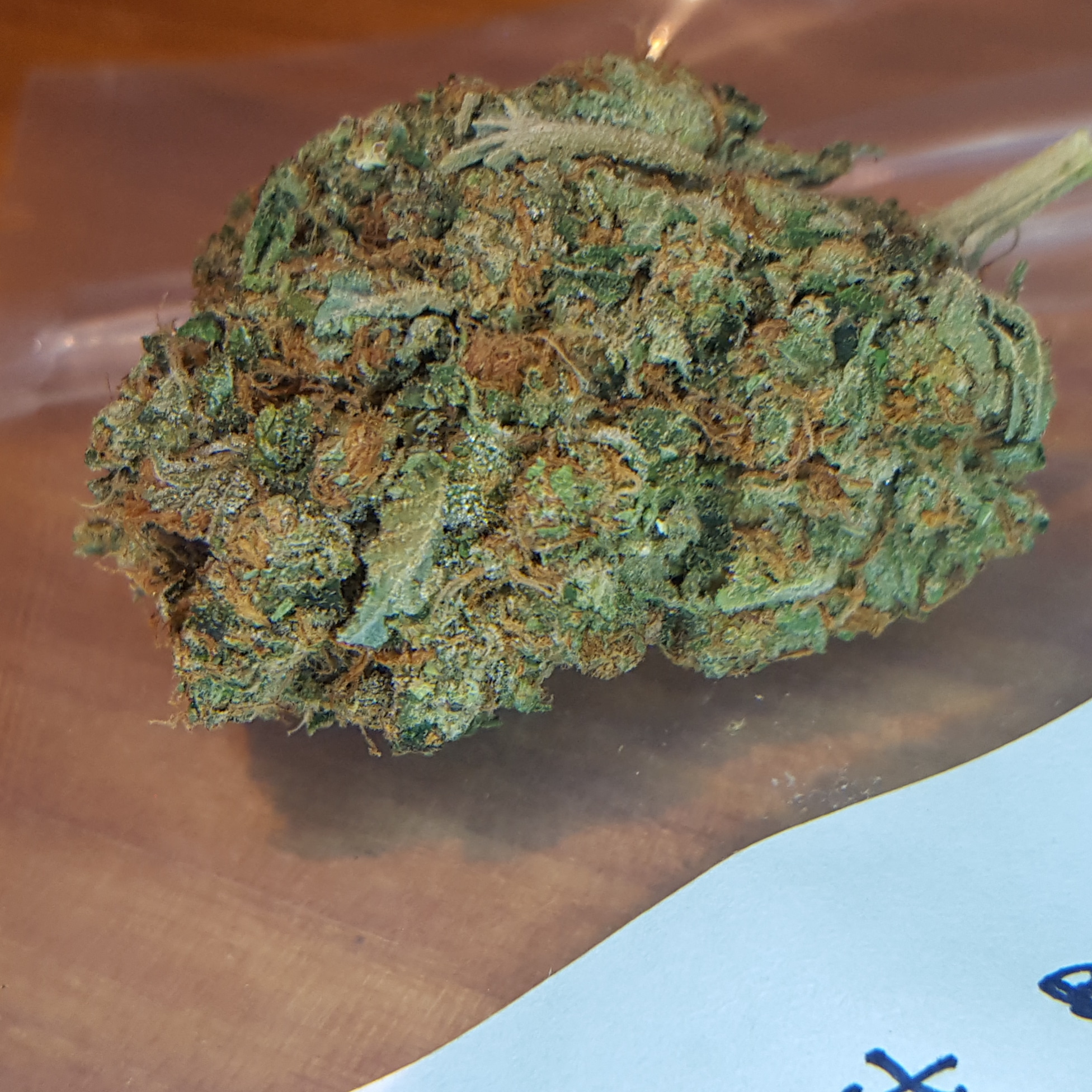 Ghost breath thewholesomemonkey MOMpics
