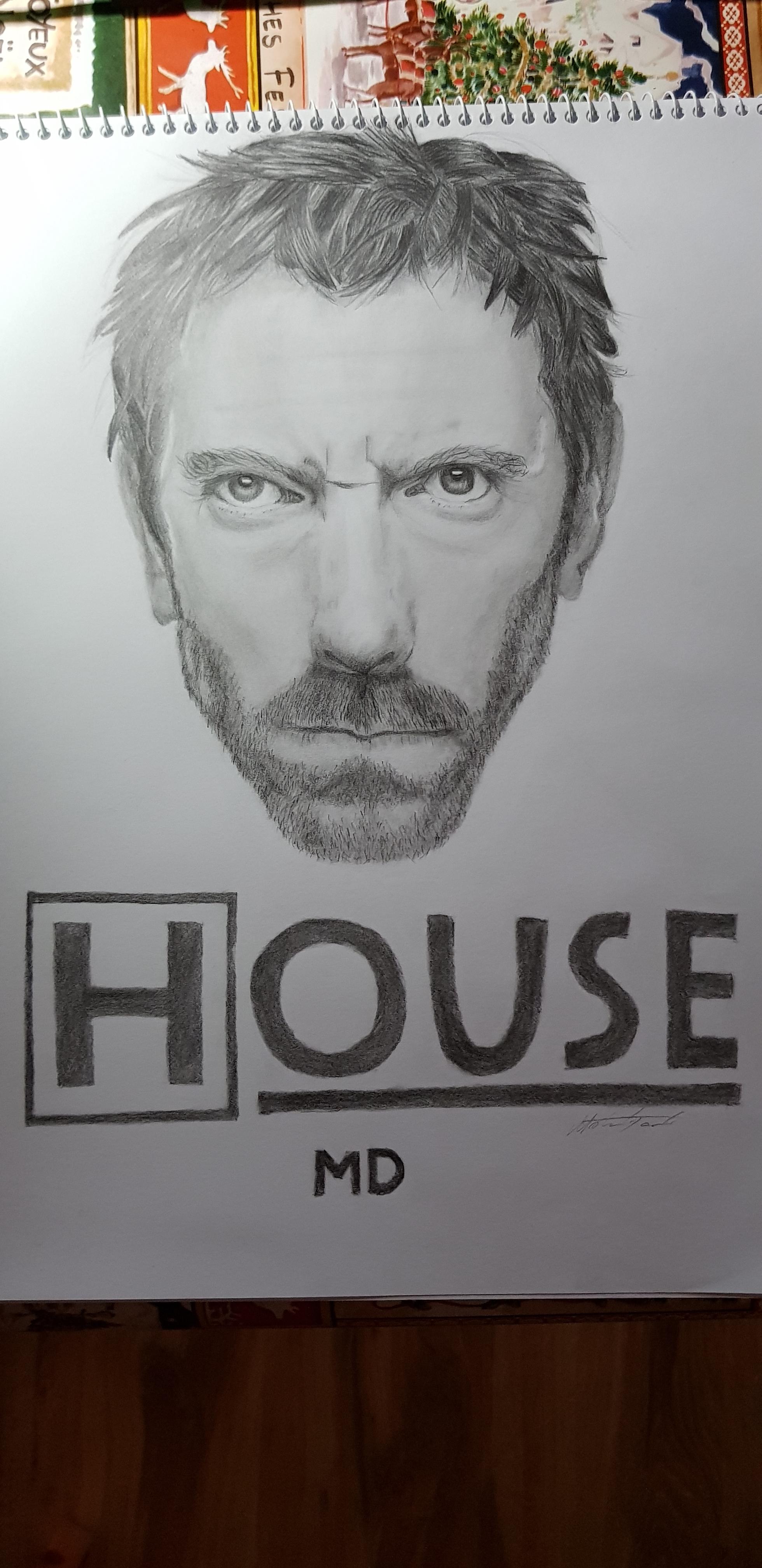 House MD graphite pencil r/drawing