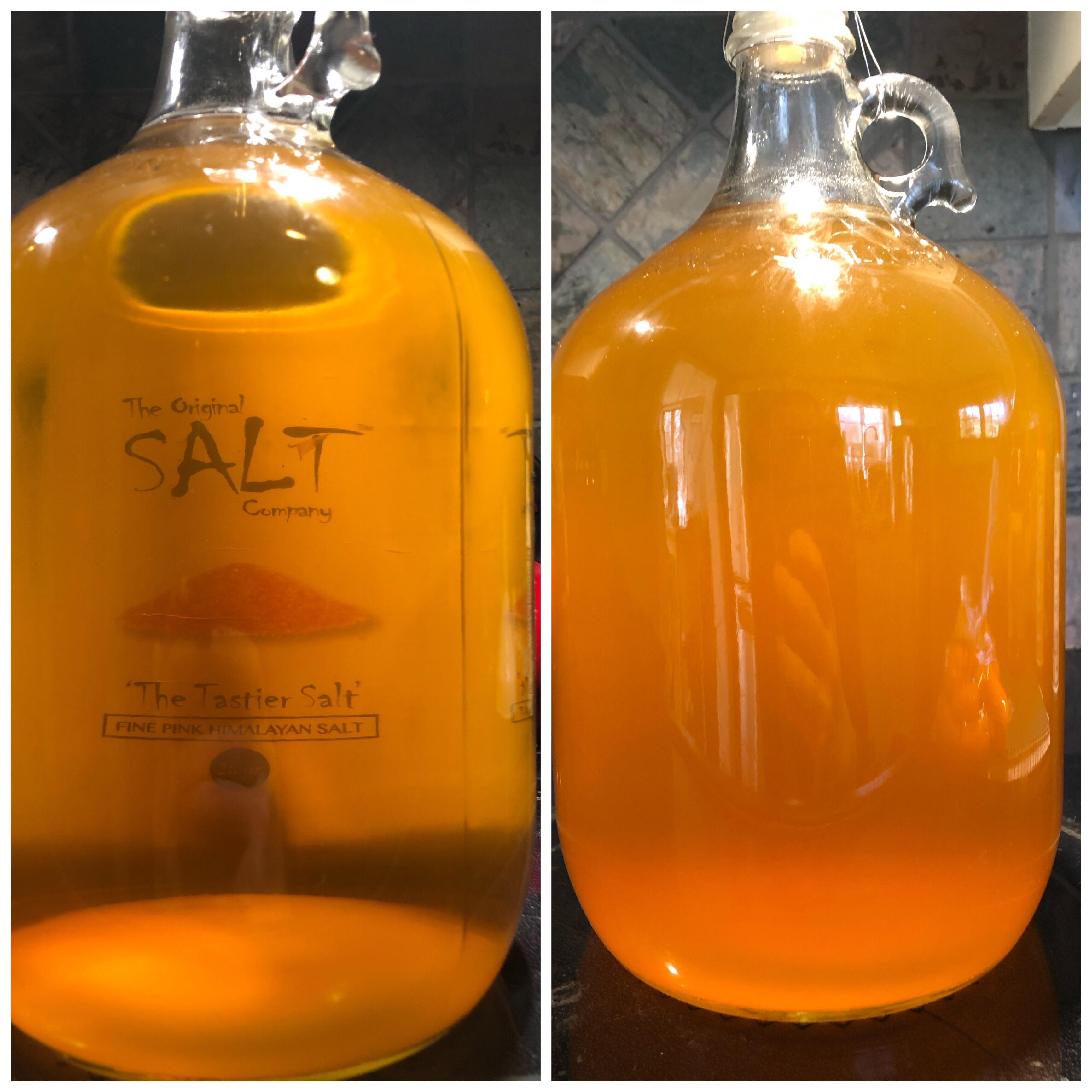 Why did my traditional get cloudy after cold crashing?!?! r/mead