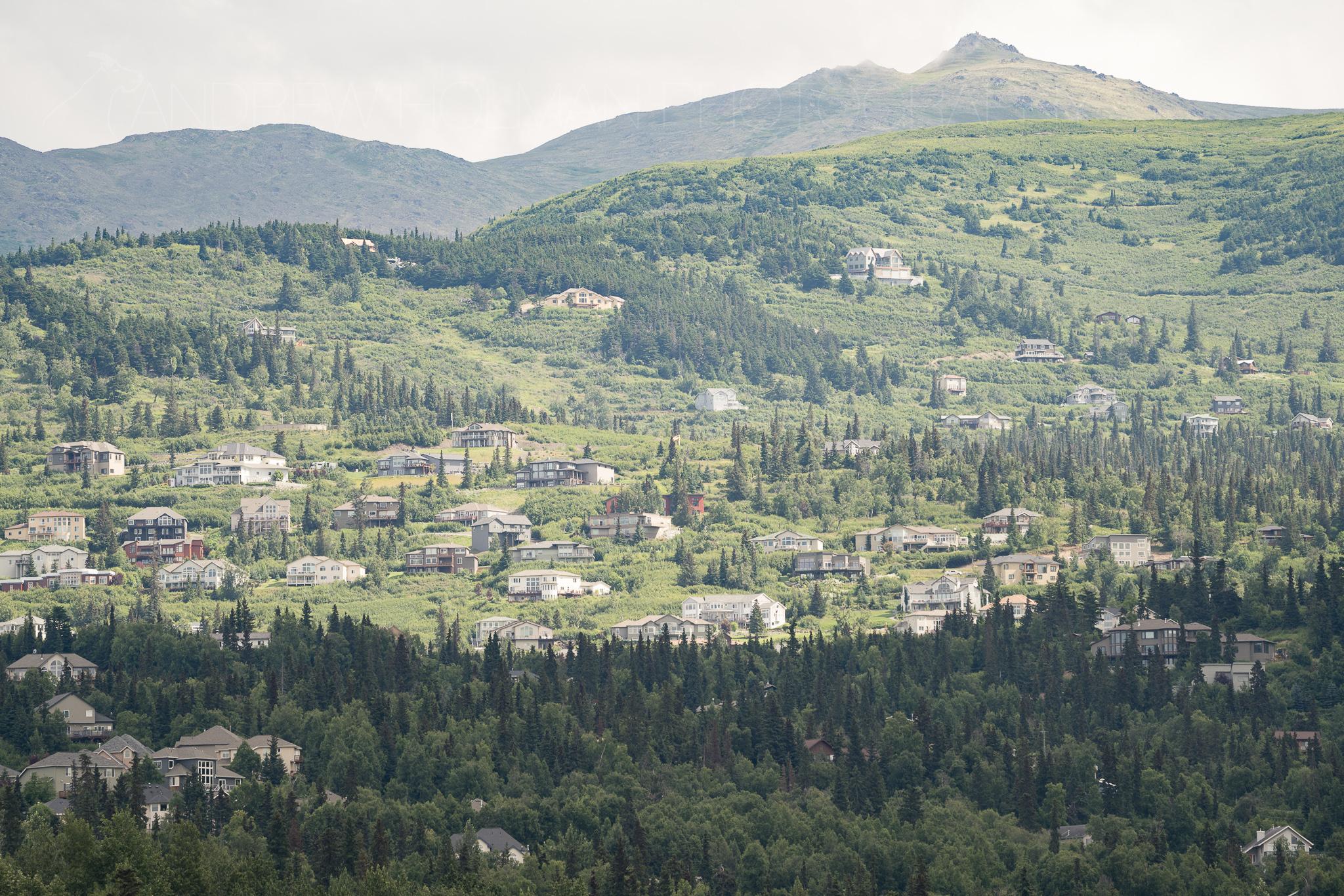 Hillside area from Potter Marsh r/anchorage