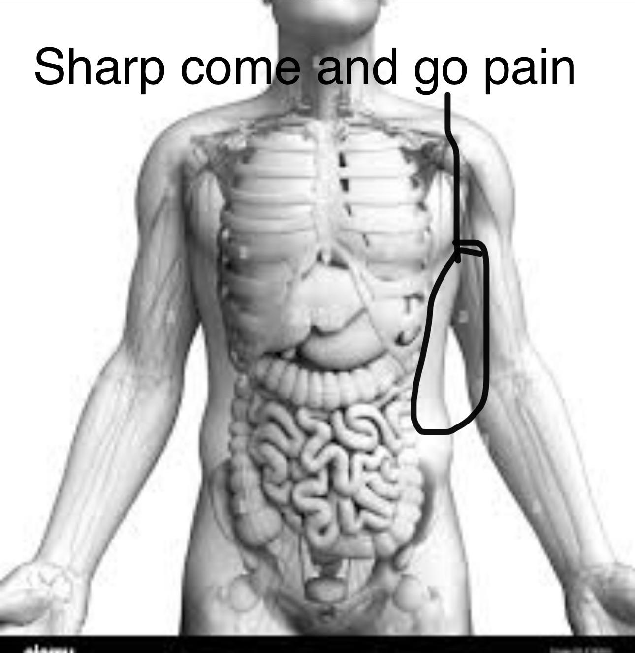 Sharp come and go pain on left side right in bottom rib cage area as