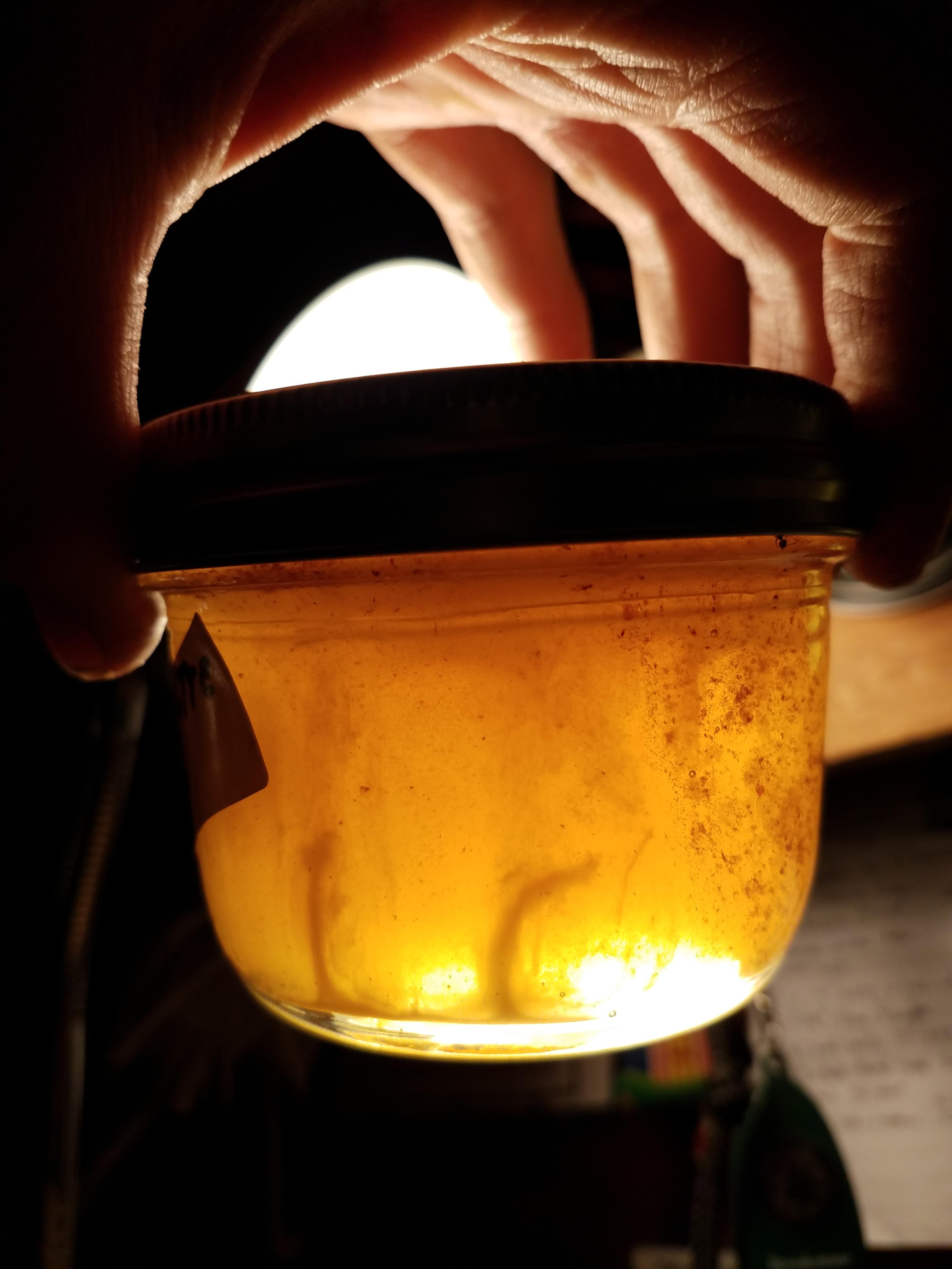 does my raw honey have botulism? r/Beekeeping