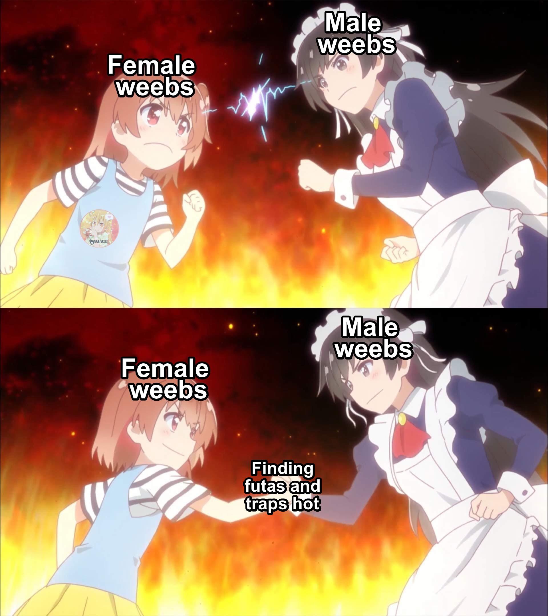 Female weebs exist and they also have good tastes r/Animemes