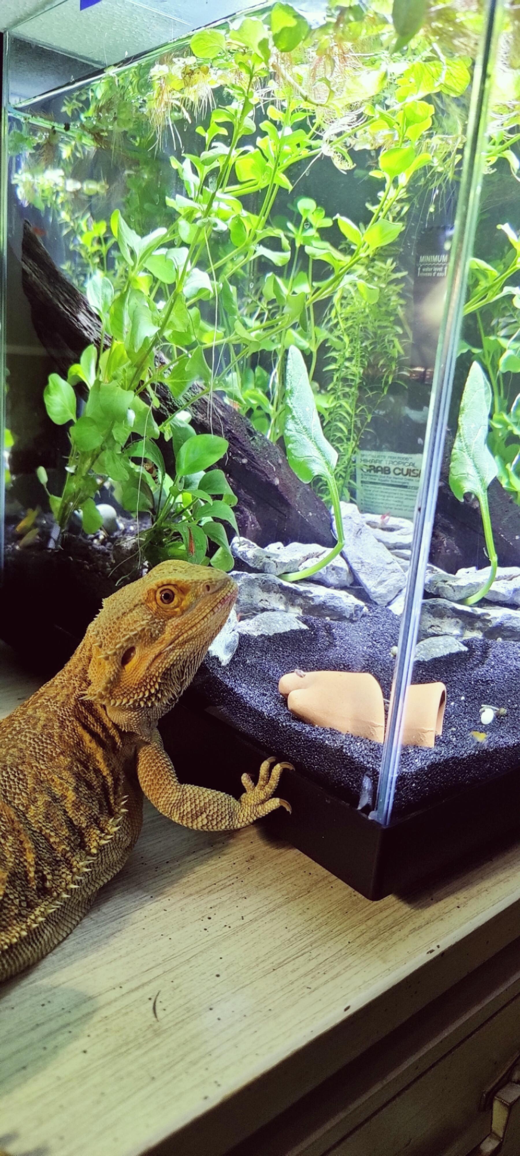 Reddit Dive into anything