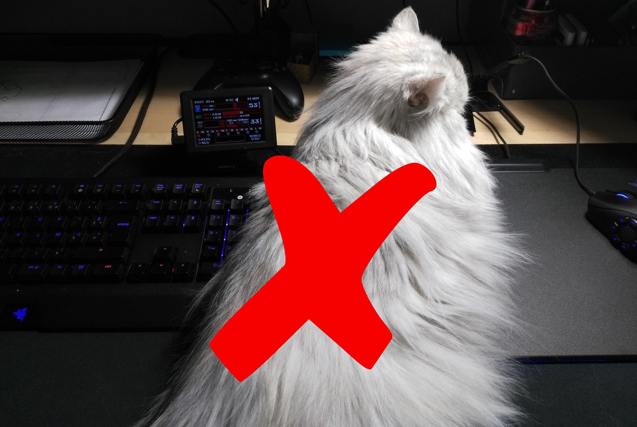 Keyboard cat protector functionalprint