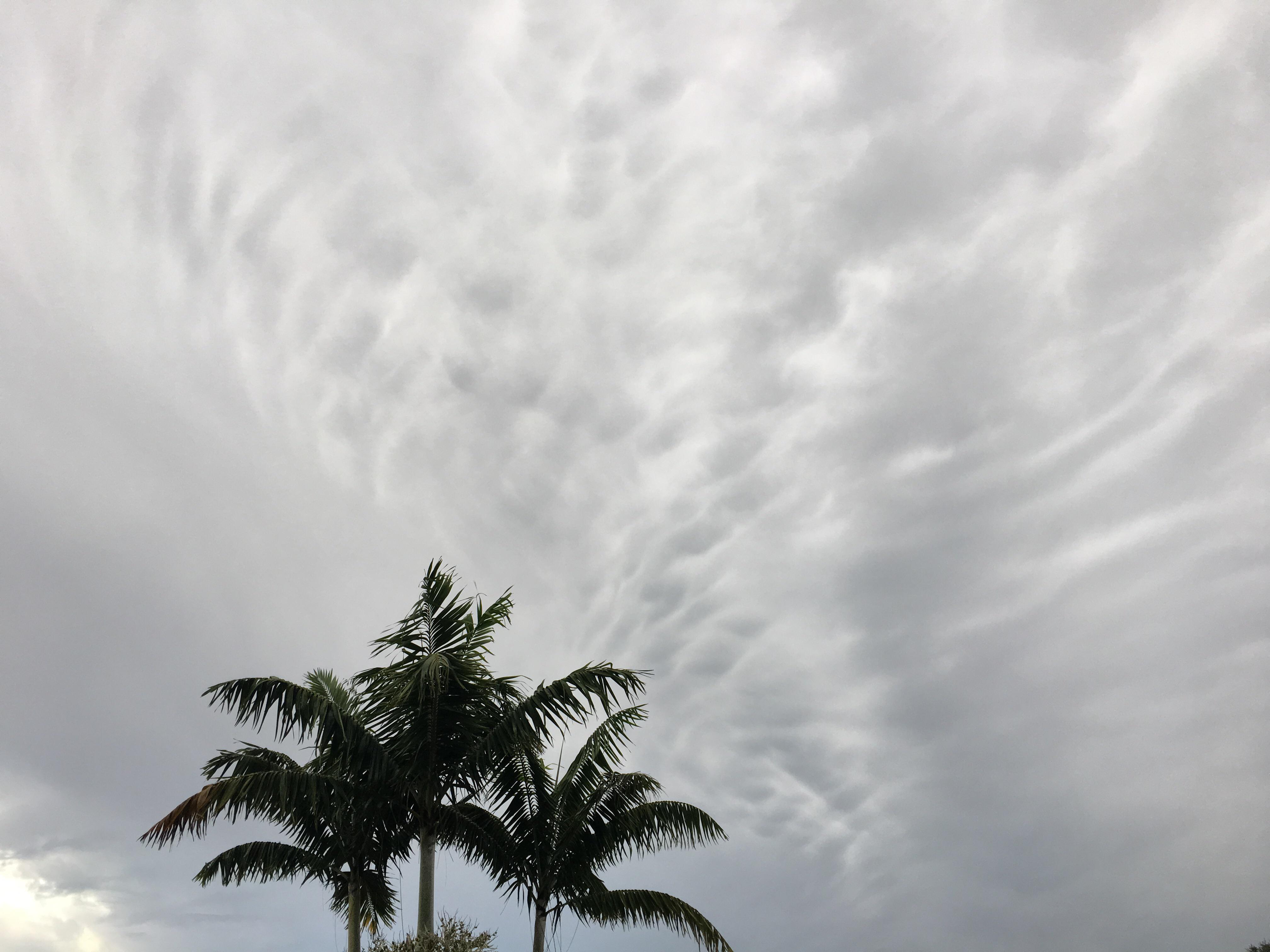 Mammatus clouds over Cocoa Beach Florida after Tropical Storm Sally