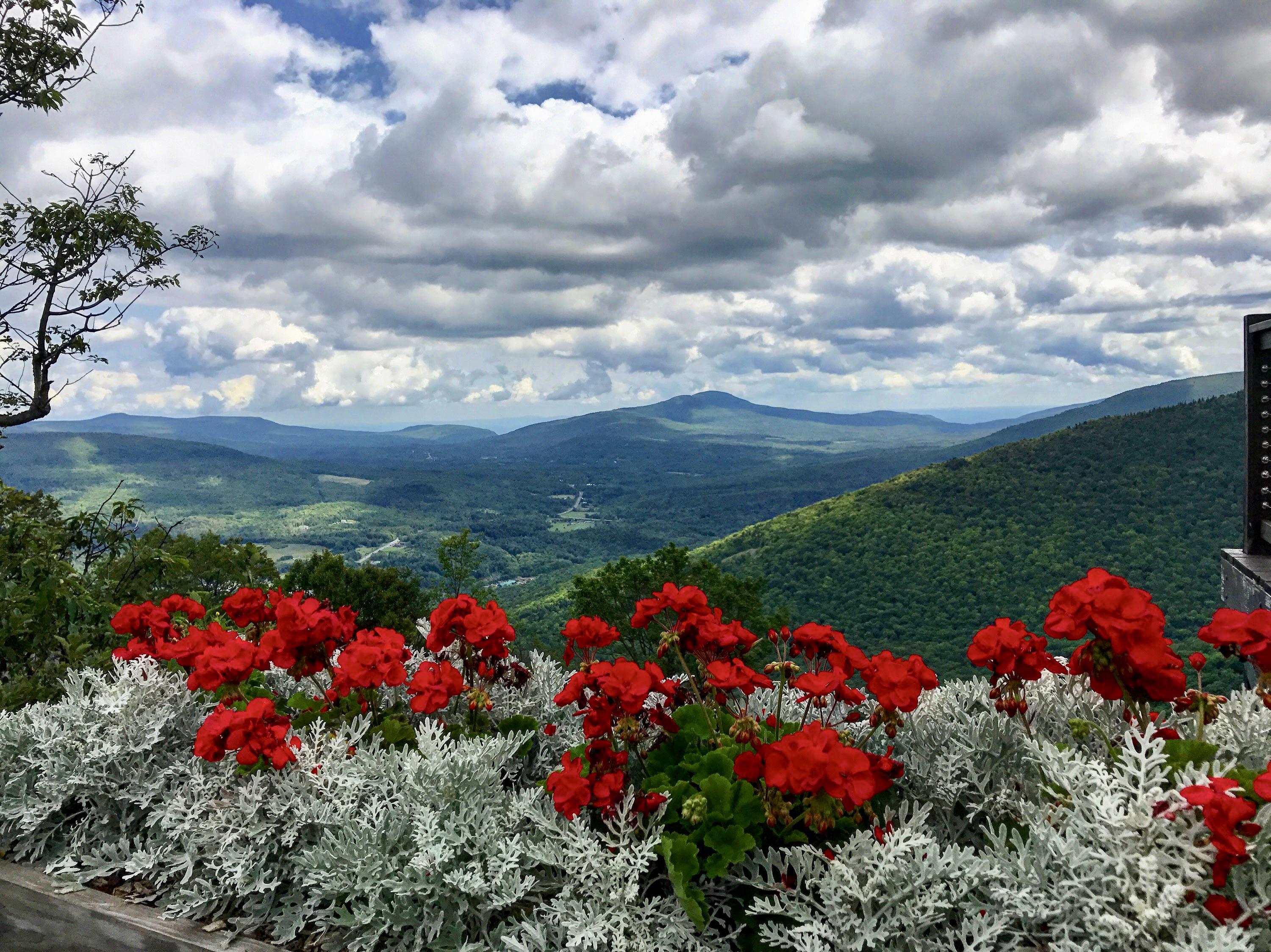 773 best Catskills images on Pholder Cozy Places, Earth Porn and