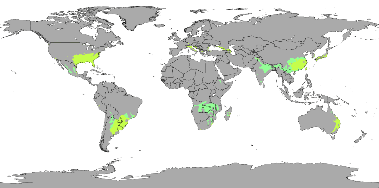 Areas with Subtropical Humid (Cfa and Cwa) climate on Earth r/MapPorn