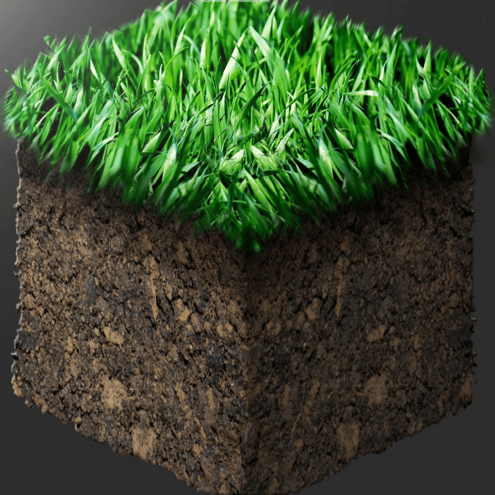 Minecraft Grass Floor