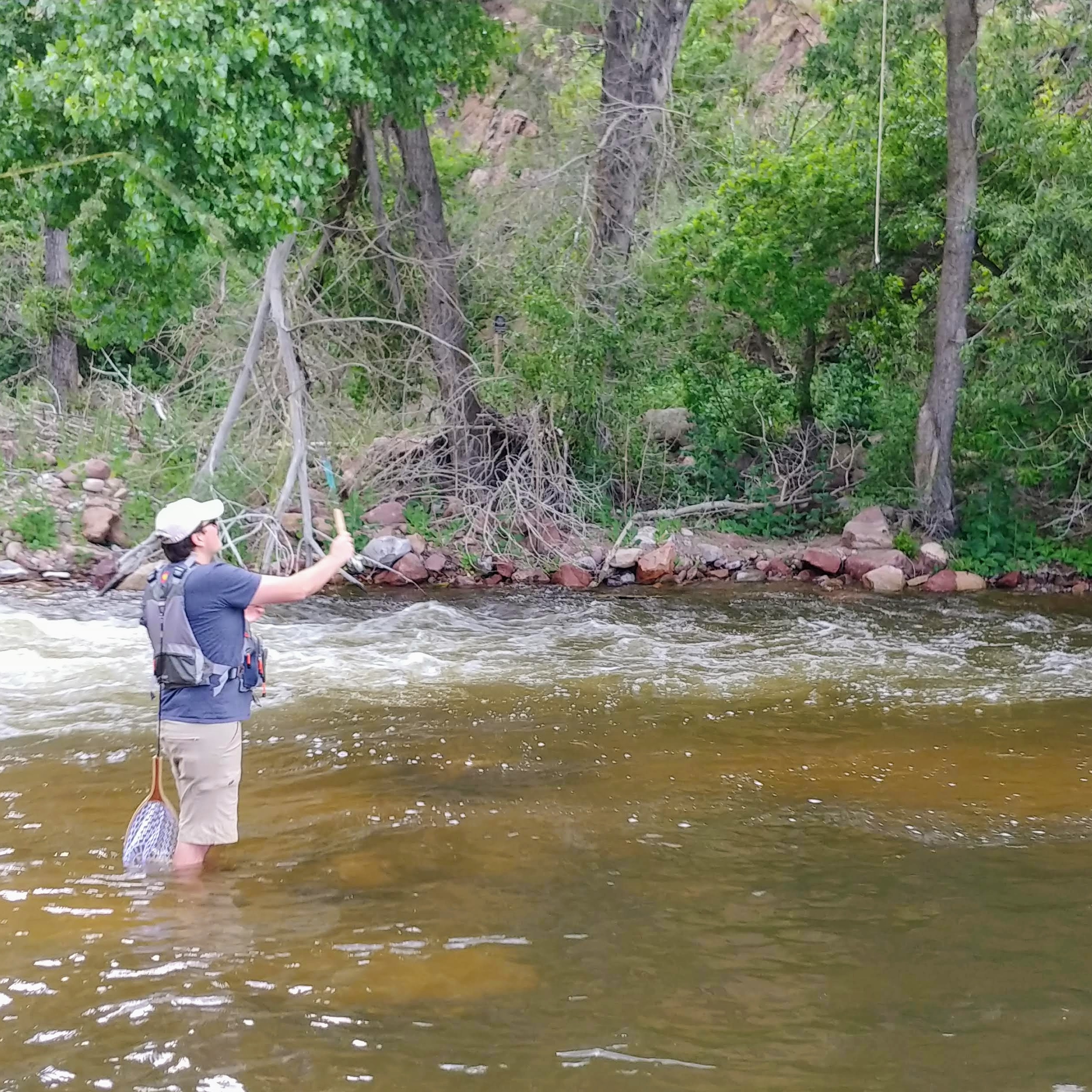 Throwing a line in South Boulder Creek r/COfishing