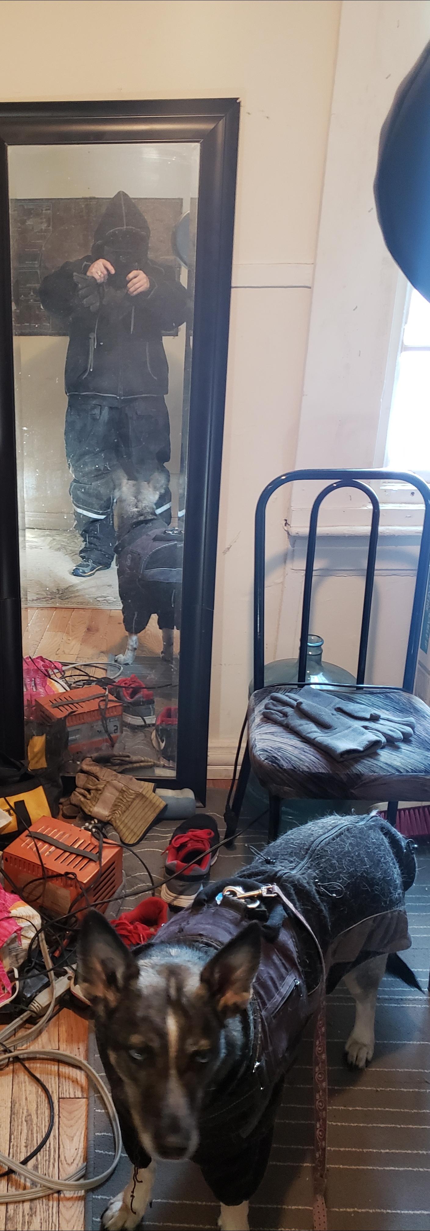 Walk the Dog attire in Winterpeg r/Winnipeg