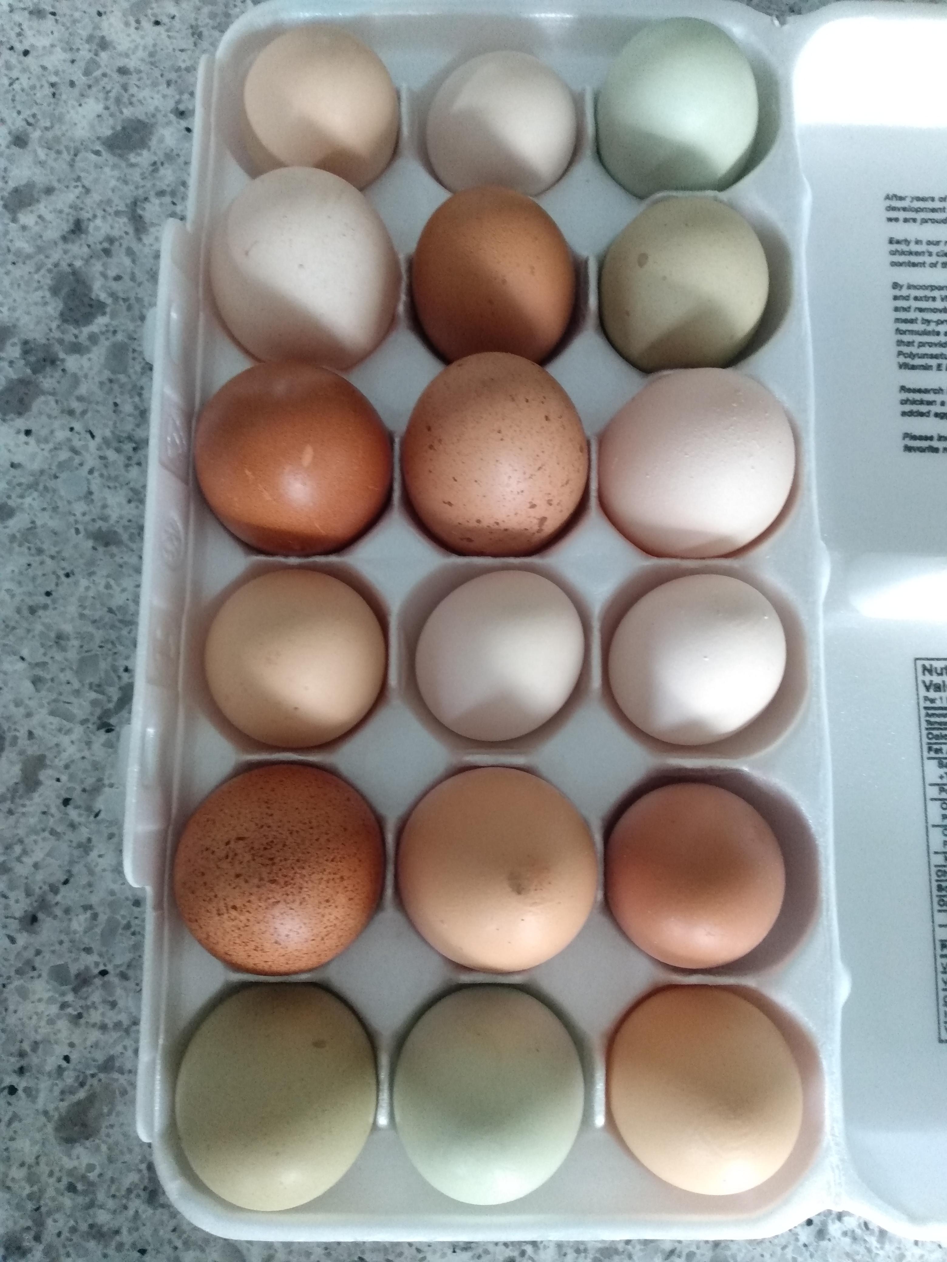 Farm fresh organic eggs from my parents well loved chickens or the