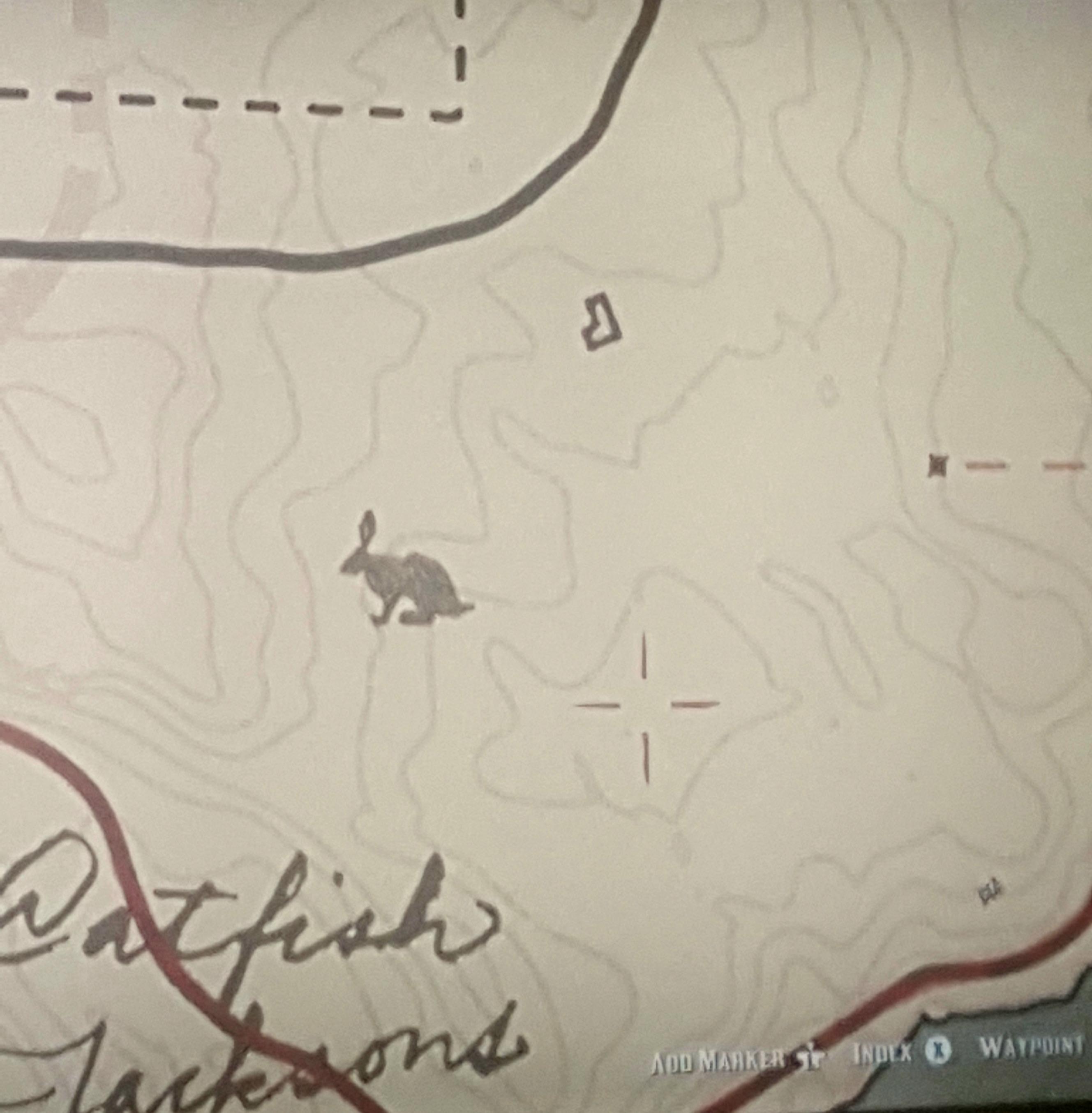 Hunting for rabbits inside of a rabbit. r/reddeadredemption