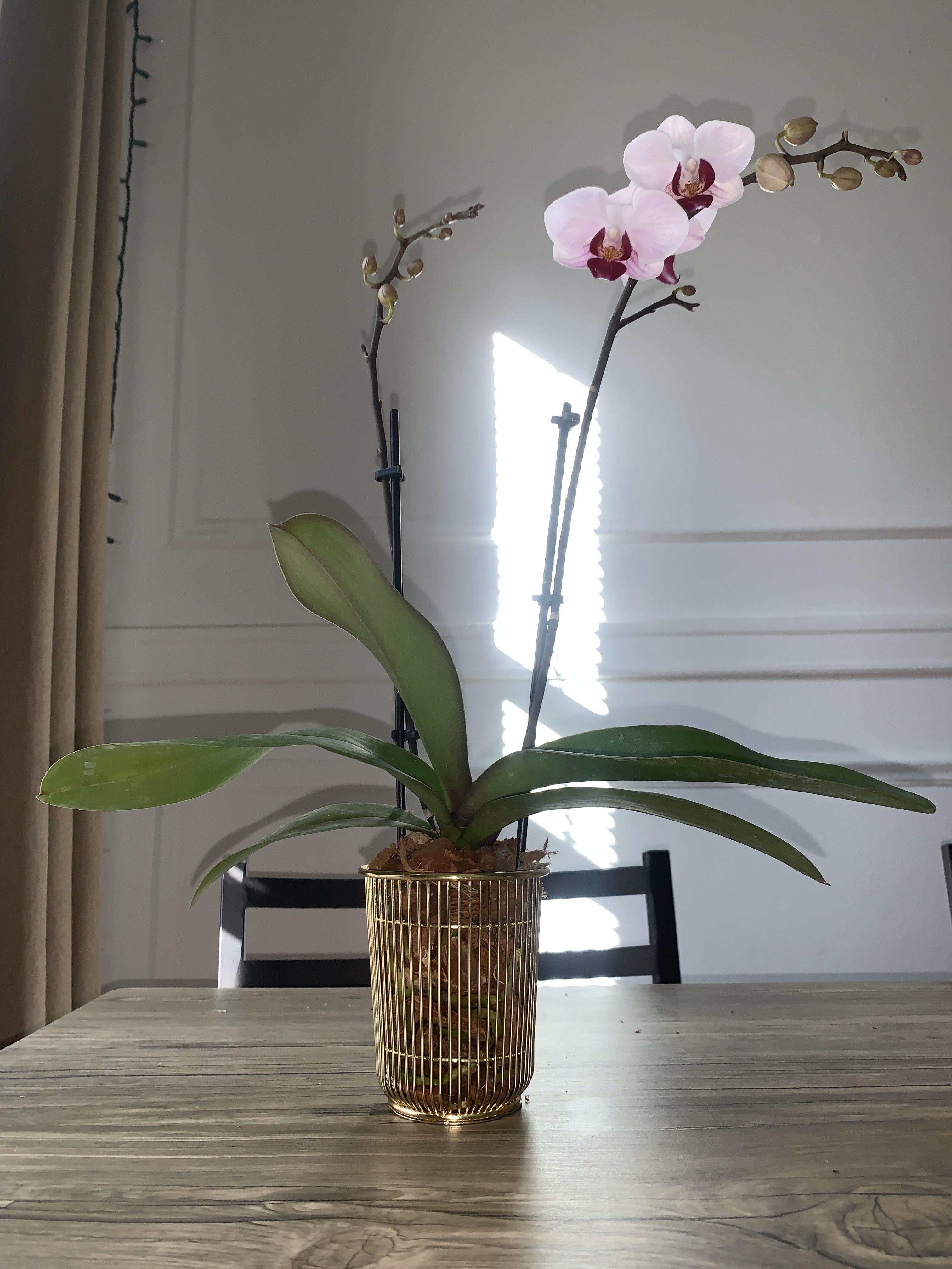 In love with the cute pencil cup I found at Target and turned into an