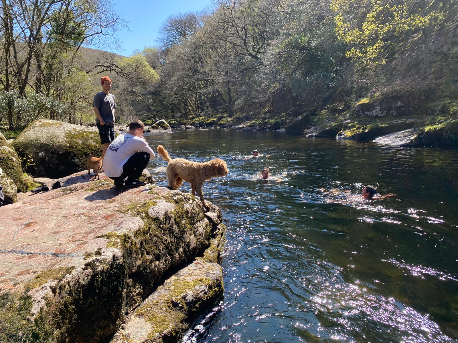 Our favourite spot on the river Dart r/camping