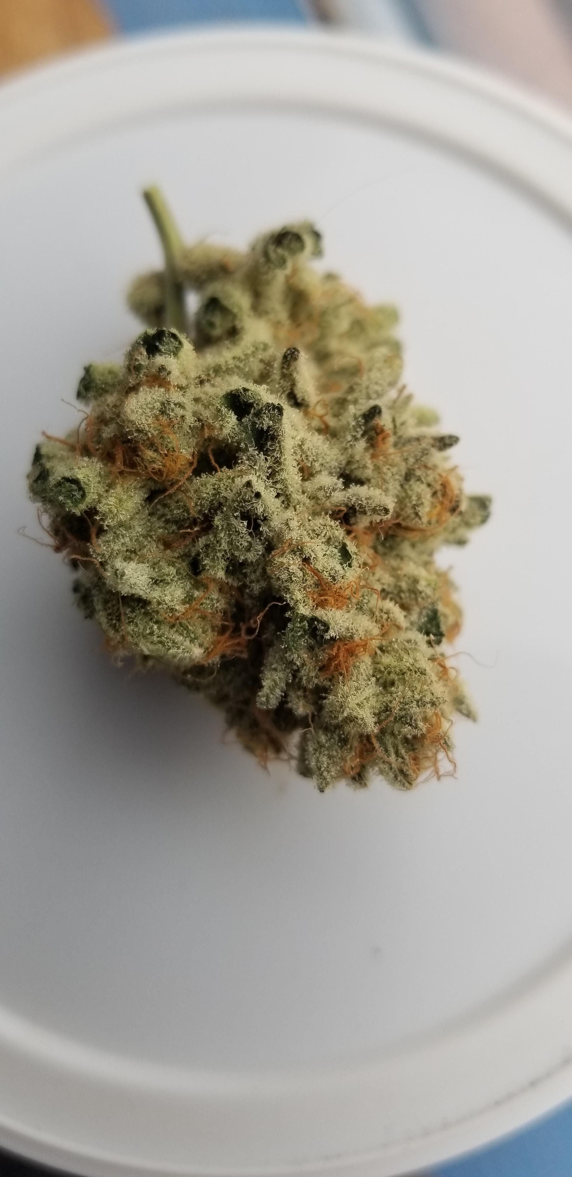 purple punch and wedding cake and rocket fuel and and and Craftmarijuana