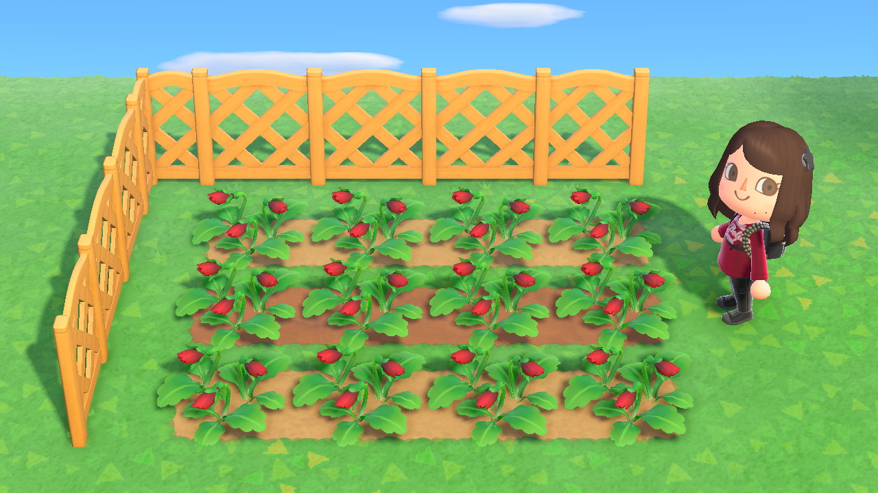 Red Pansies Animal Crossing Flower Guide Hybrid Flowers Flower