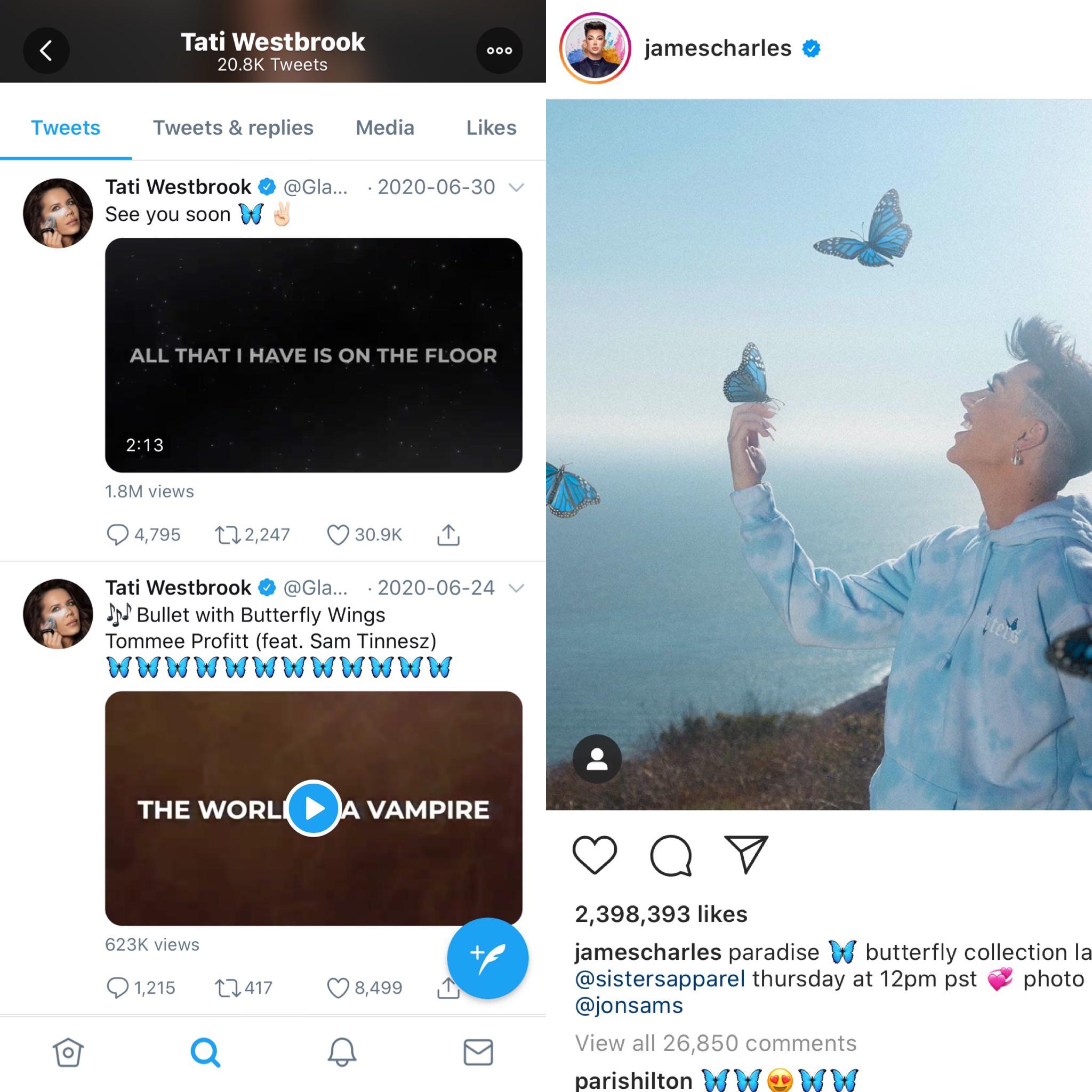 Blue Butterfly Emoji Makeup A butterfly, a beautiful winged insect whose larva is a caterpillar.