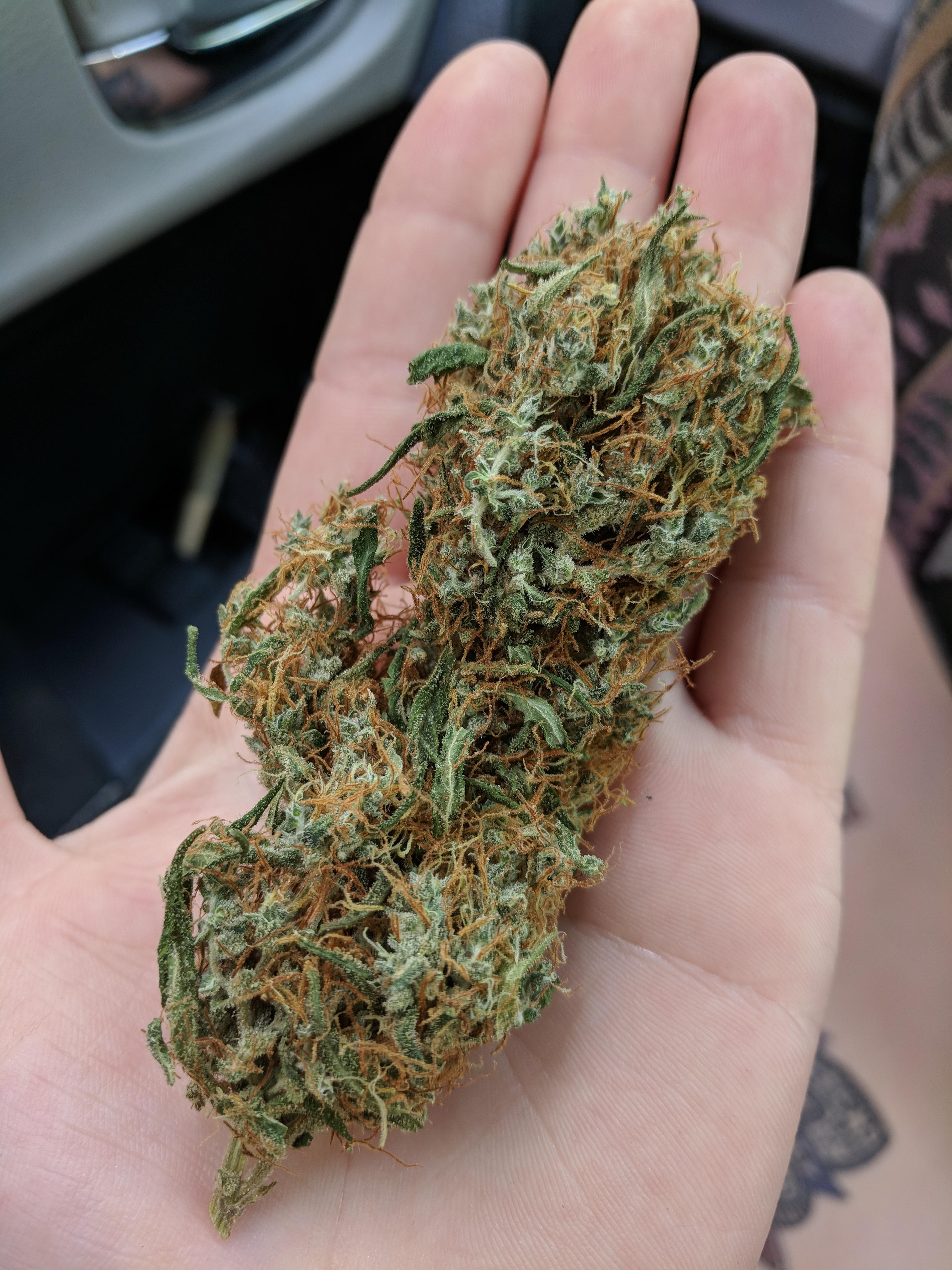 Tangerine dream is 🔥🔥 r/weed