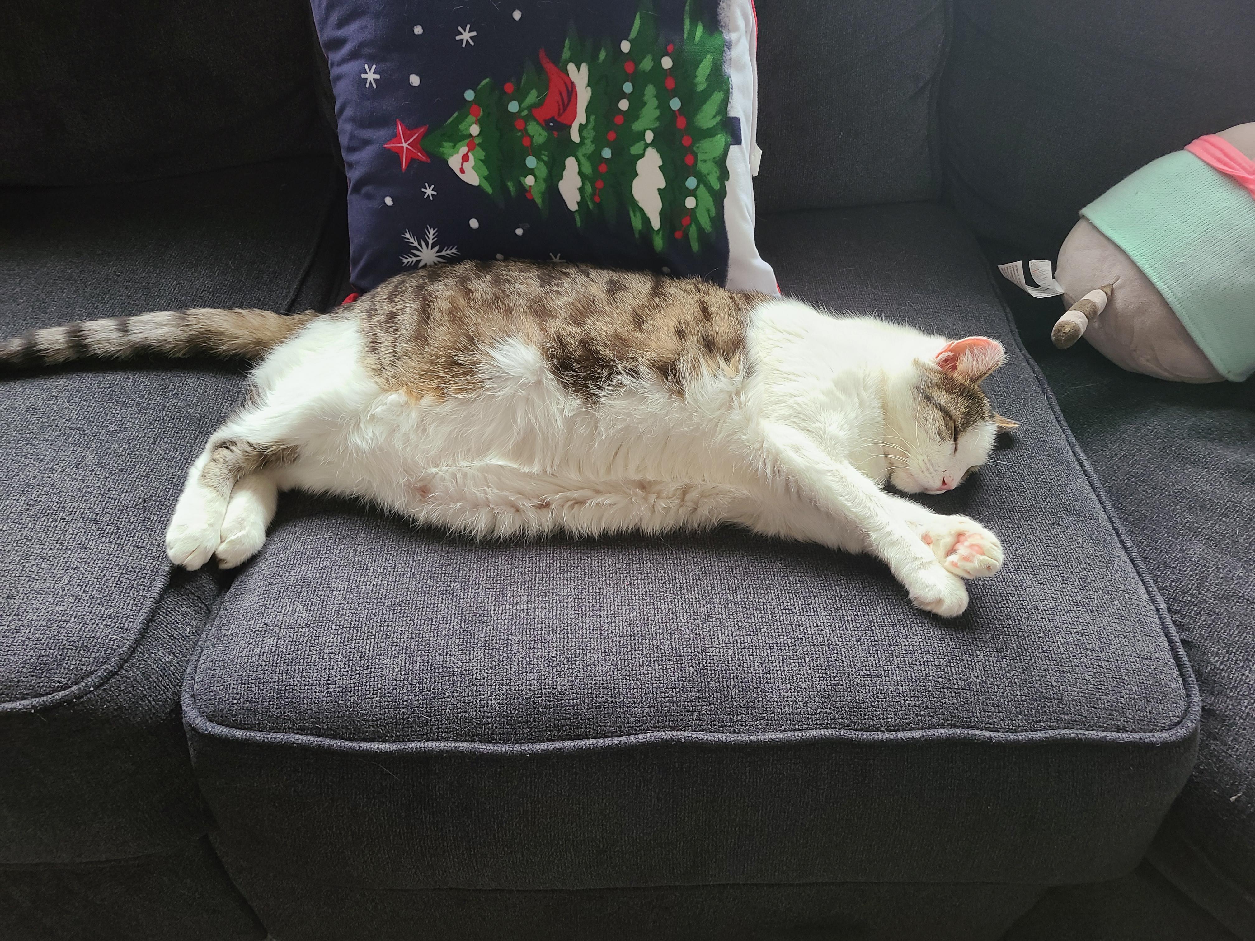 Sleep girl partied to hard last night. 2 years ago today she had a 4 cm