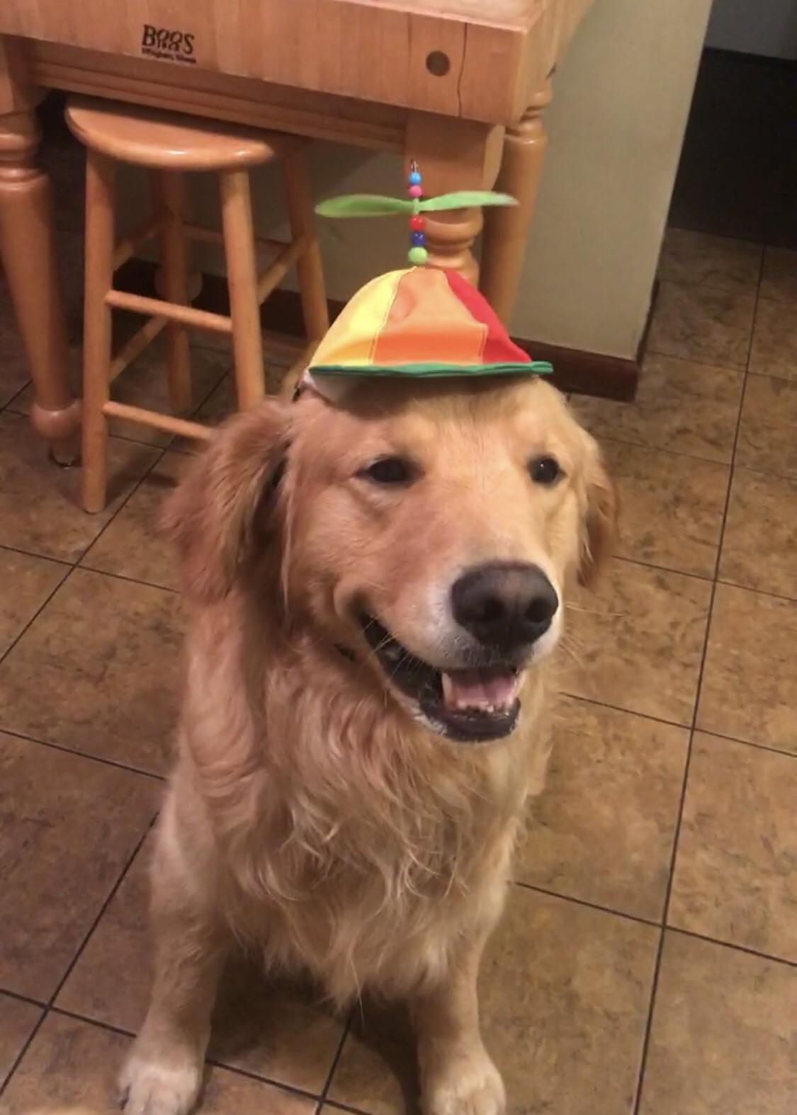 256 best Spinny images on Pholder Femboy, Vintageaudio and Non Binary