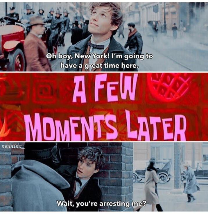 A Fantastic Beasts meme but seems like everyone in this sub hates FB