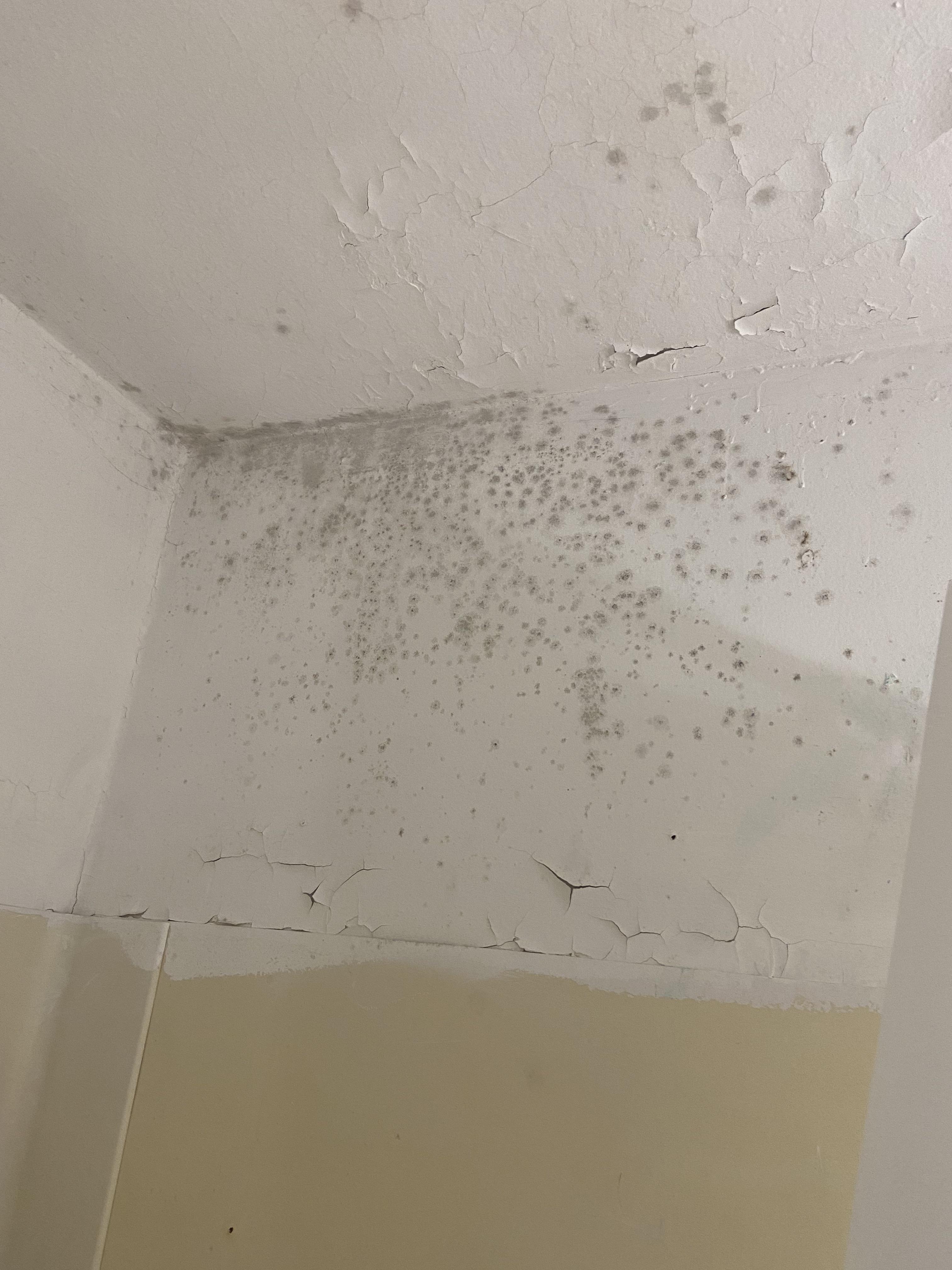 Does anyone know what this is on my shower wall? Facing away from the