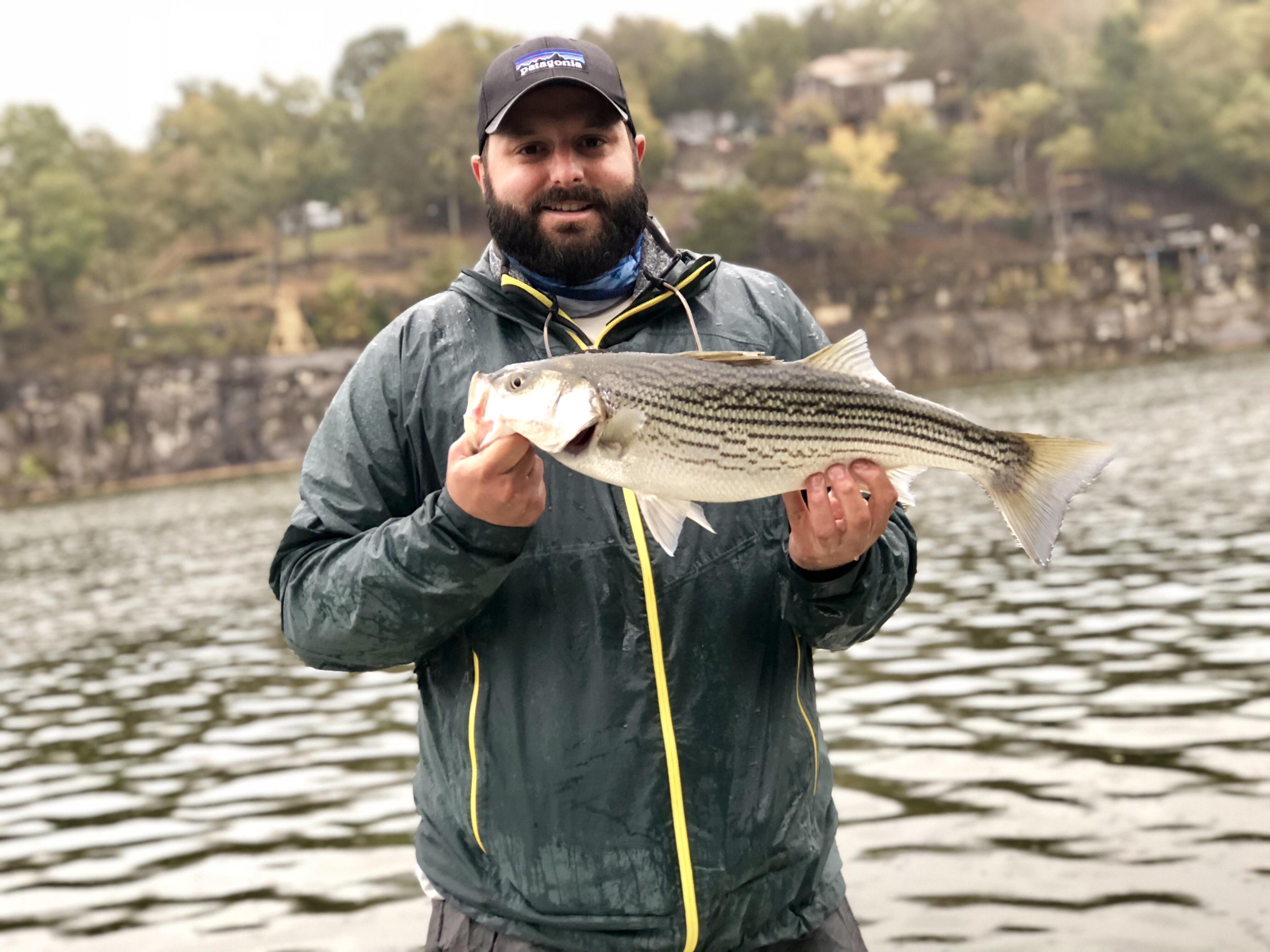 Striper Hybrid on fly r/flyfishing