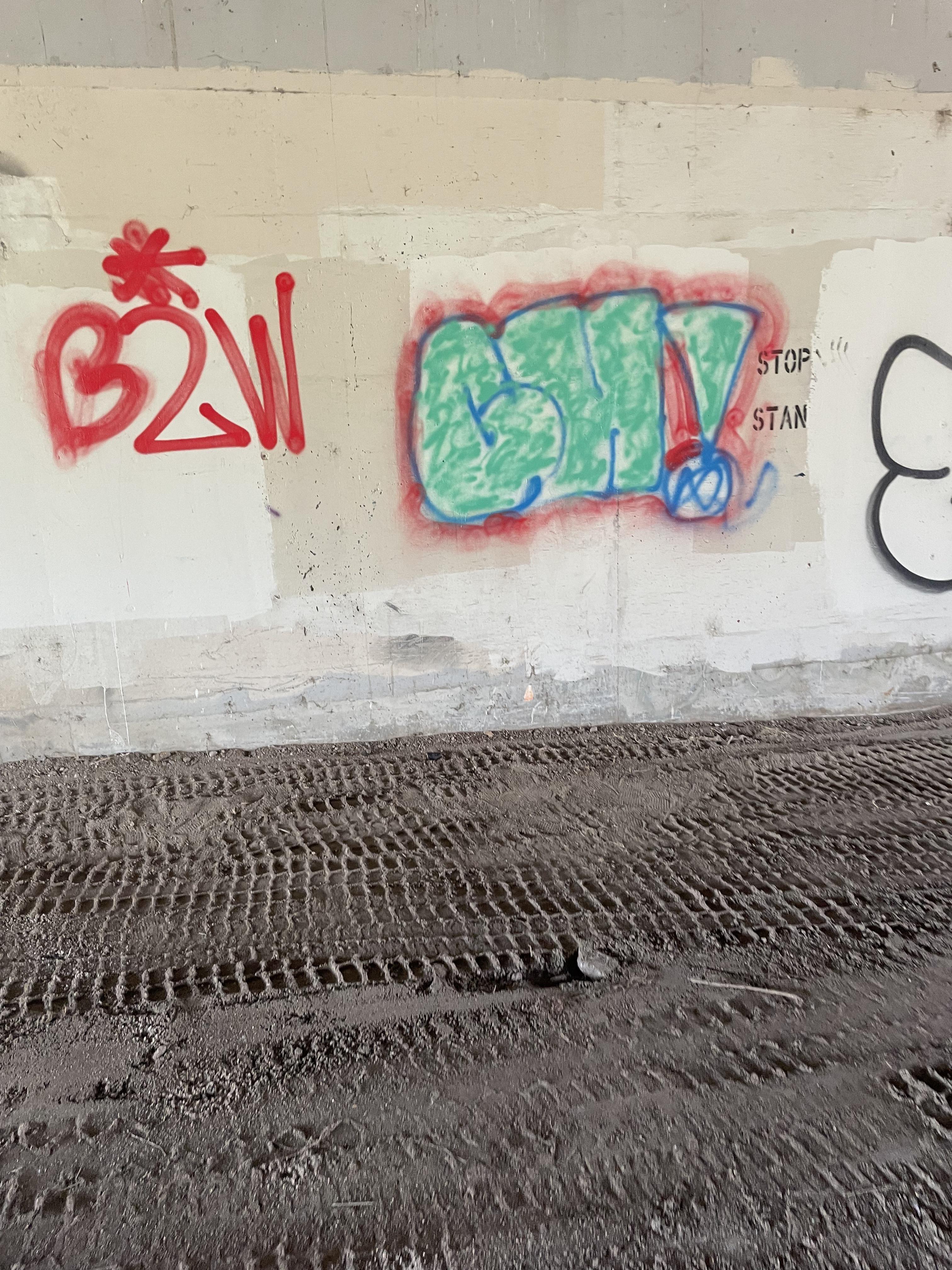 What spray paint should I buy to fill in throwies better? Also any cap