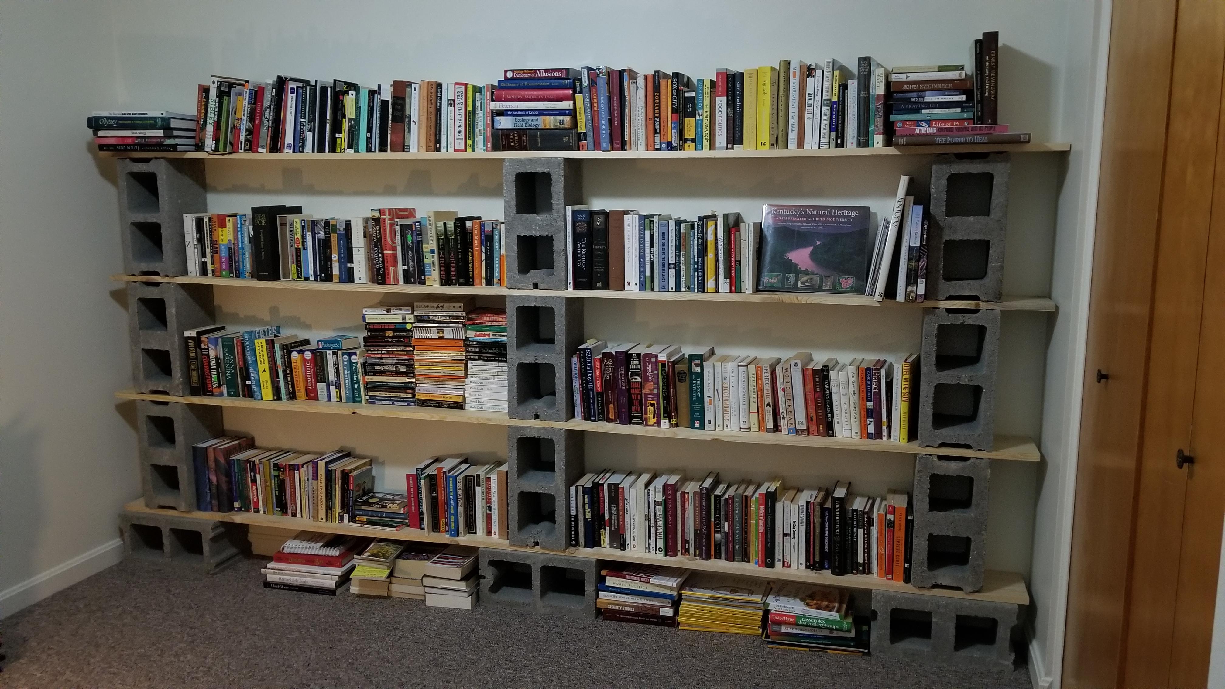 Budget bookshelves for my new apartment! r/bookshelves